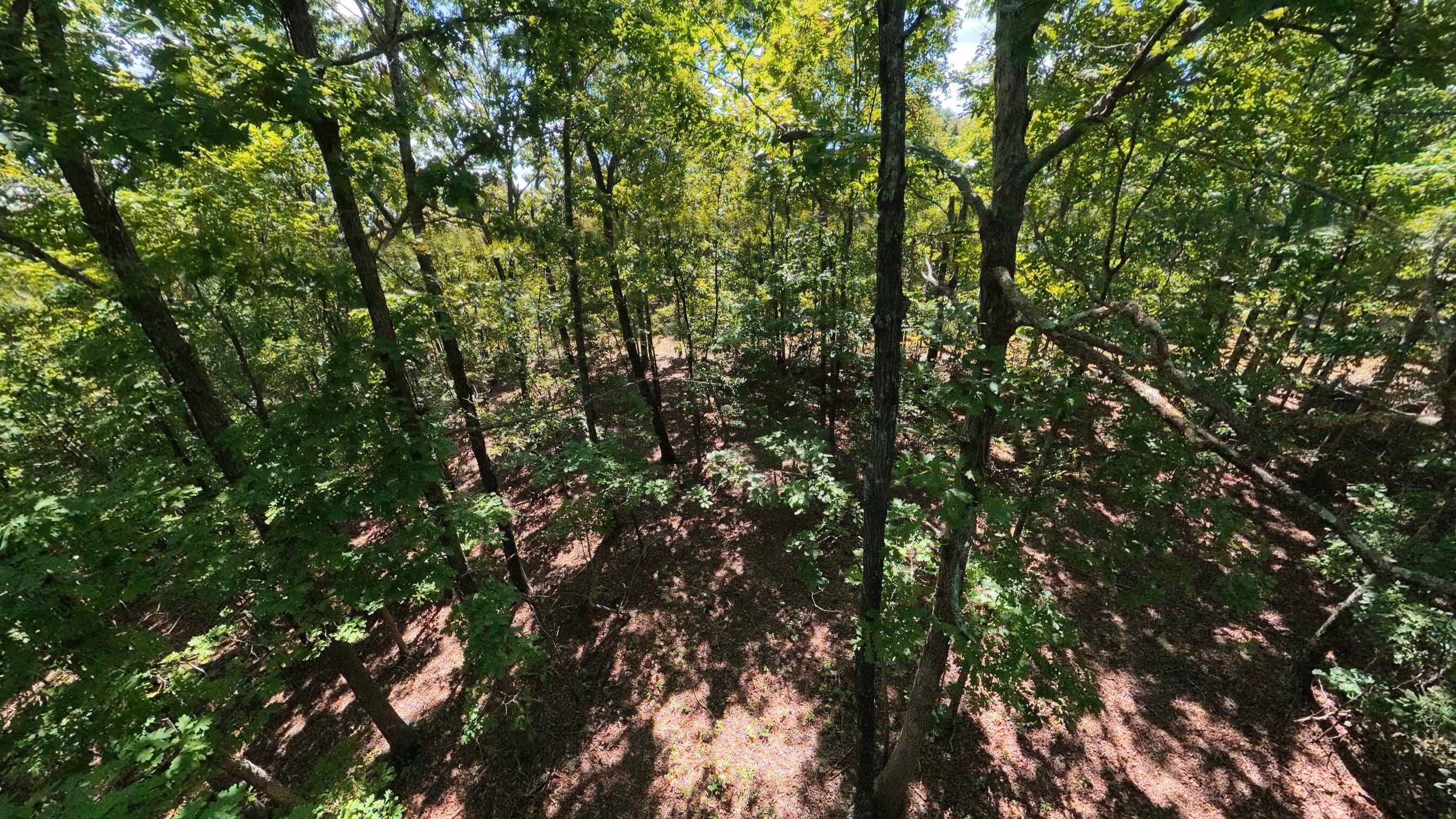 Photo 40 - Residential for sale – 5155  County Road 3380   Willow Springs, MO