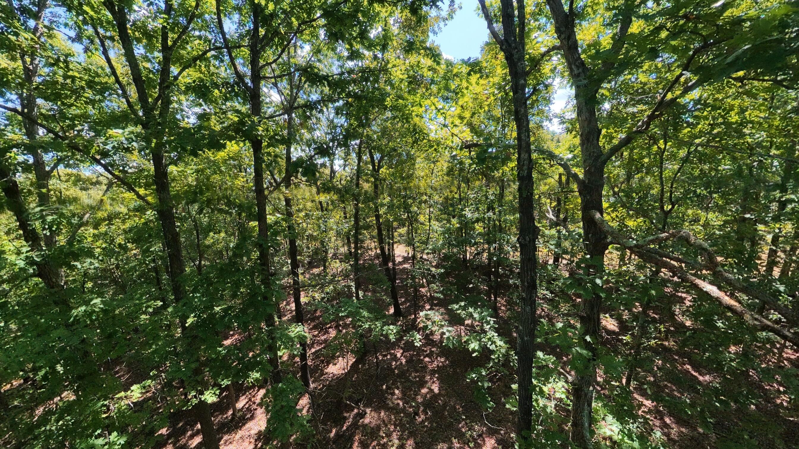 Photo 38 - Residential for sale – 5155  County Road 3380   Willow Springs, MO