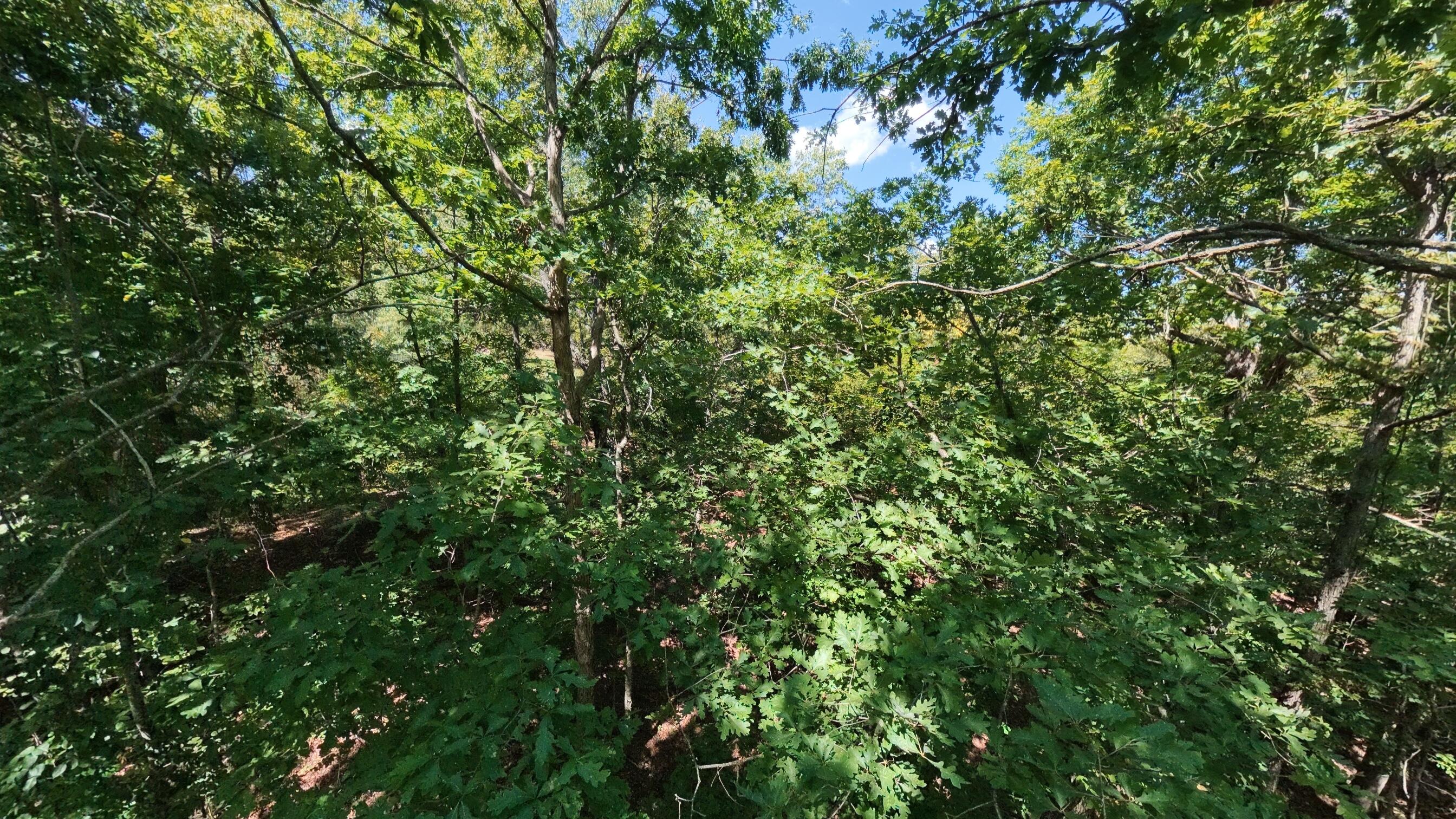 Photo 39 - Residential for sale – 5155  County Road 3380   Willow Springs, MO