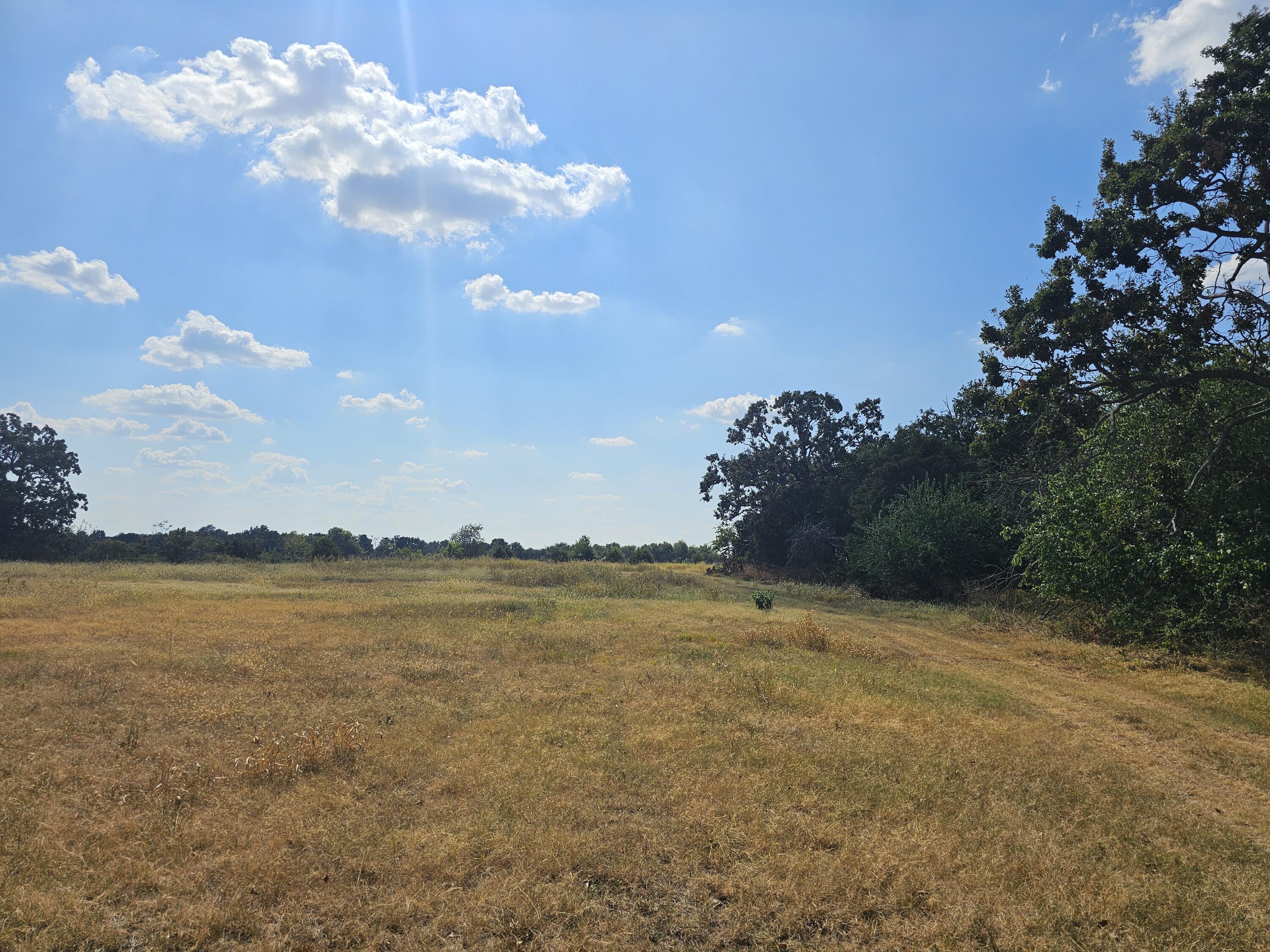 Photo 4 - Land for sale – 000 S Highway H   Monett, MO