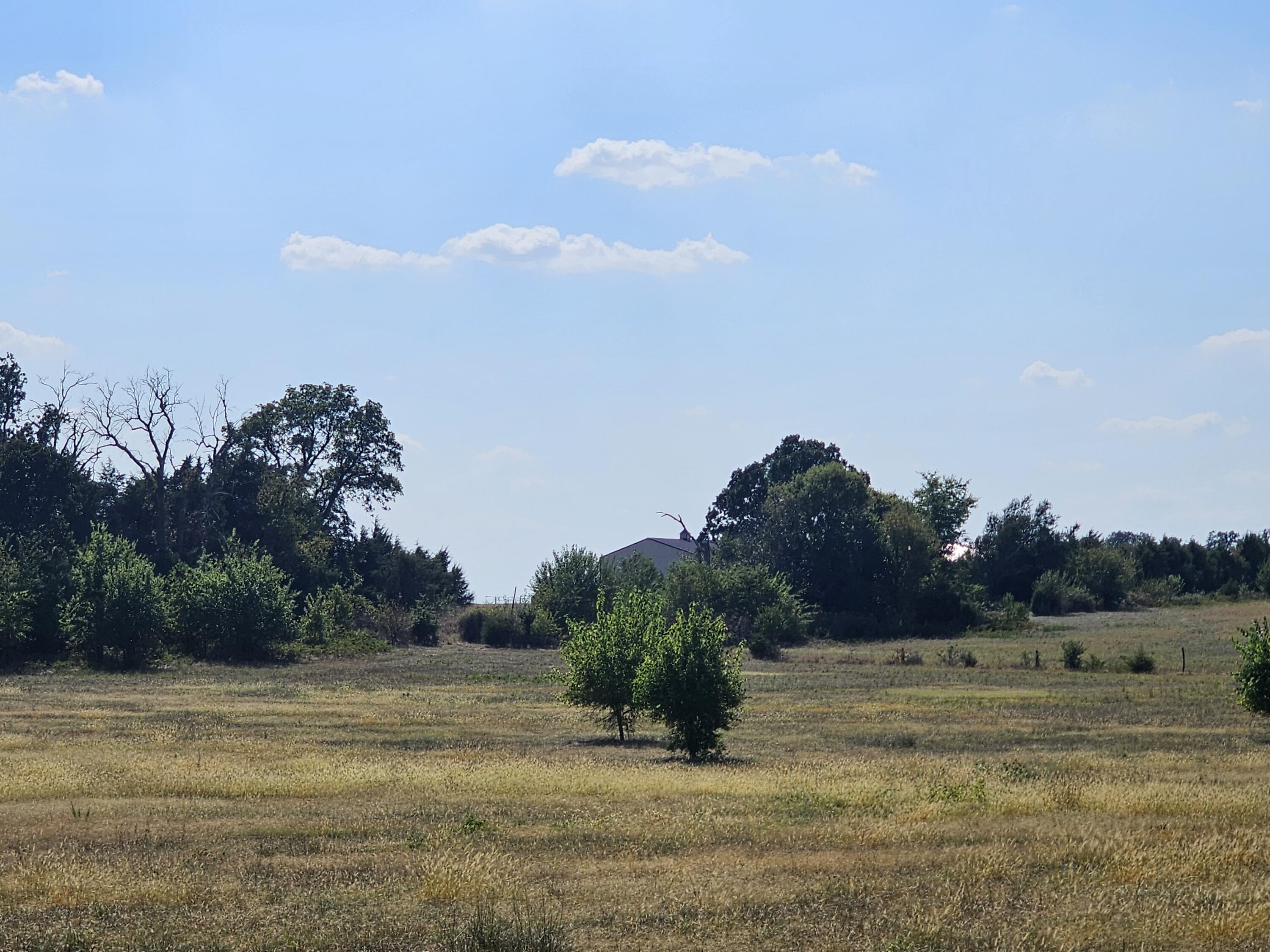 Photo 7 - Land for sale – 000 S Highway H   Monett, MO