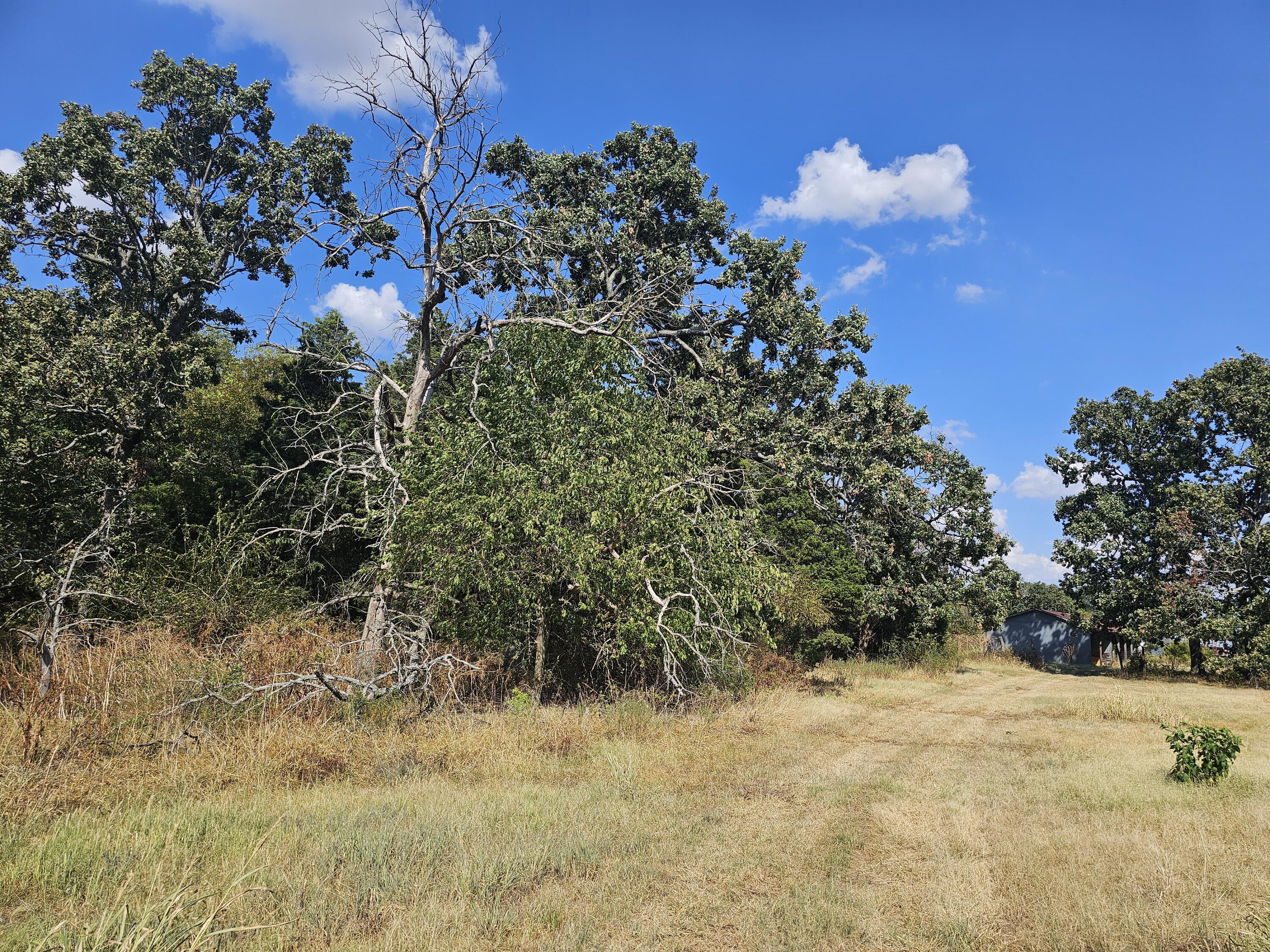 Photo 8 - Land for sale – 000 S Highway H   Monett, MO