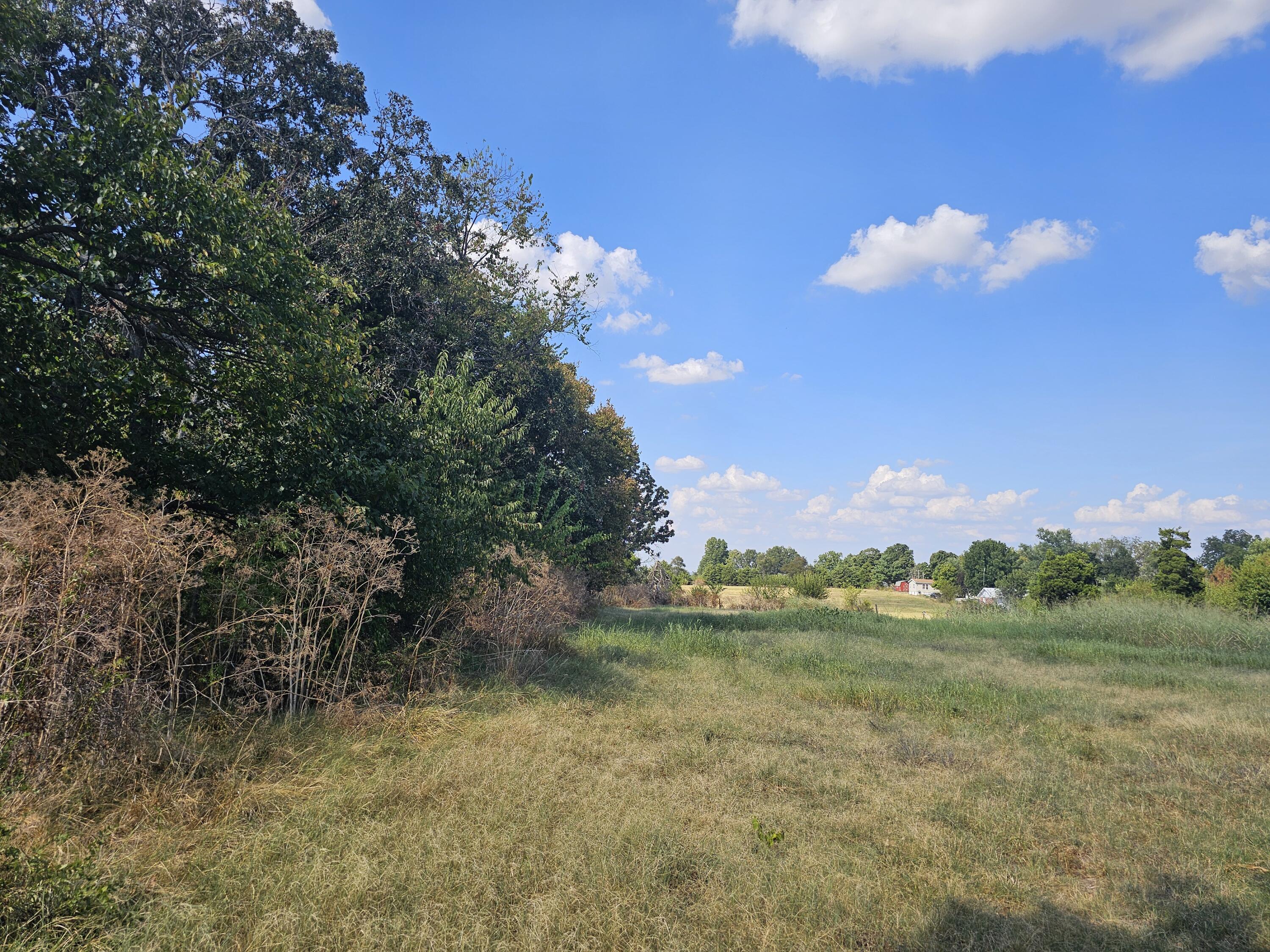 Photo 2 - Land for sale – 000 S Highway H   Monett, MO