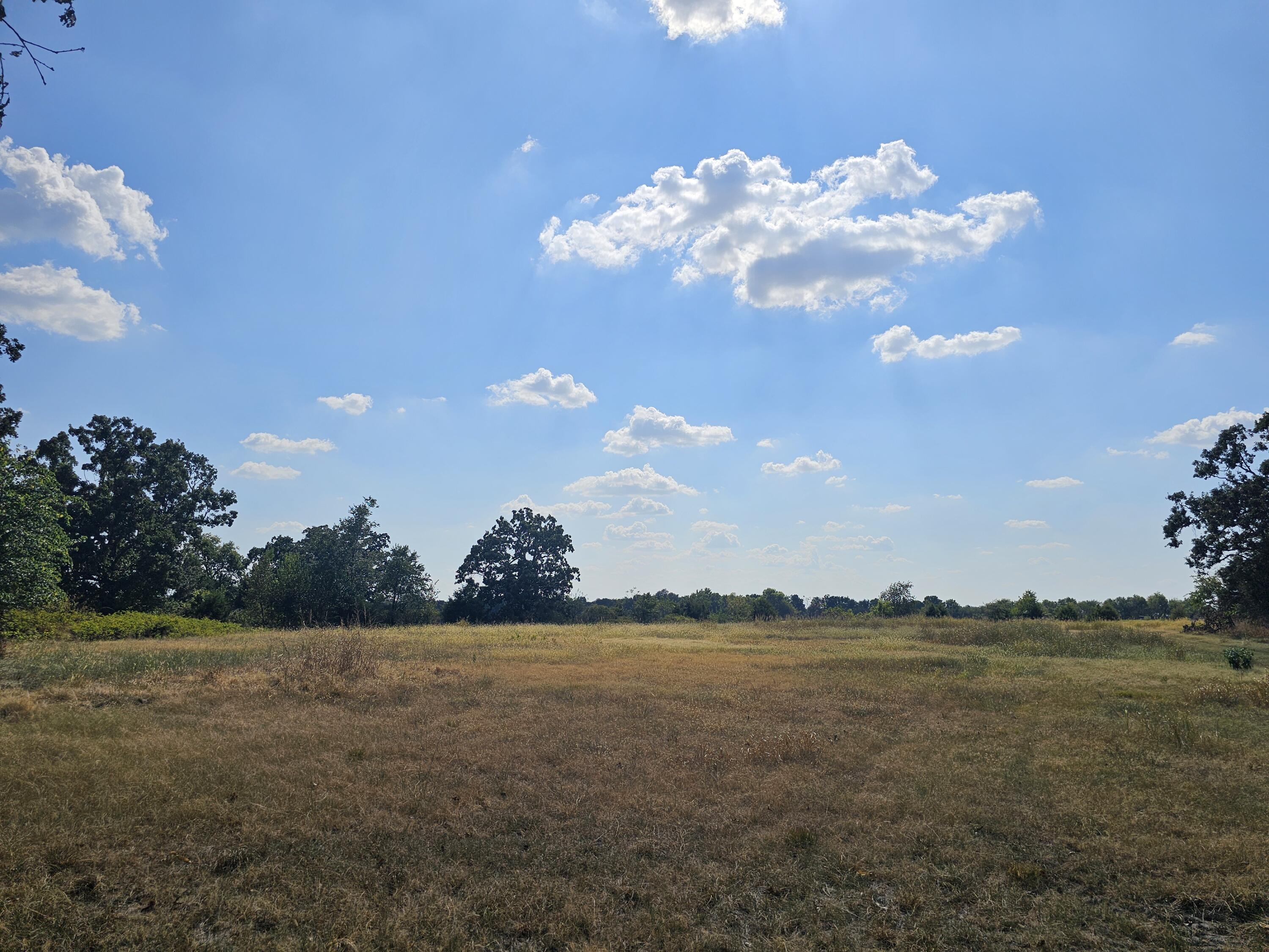 Land for sale – 000 S Highway H   Monett, MO