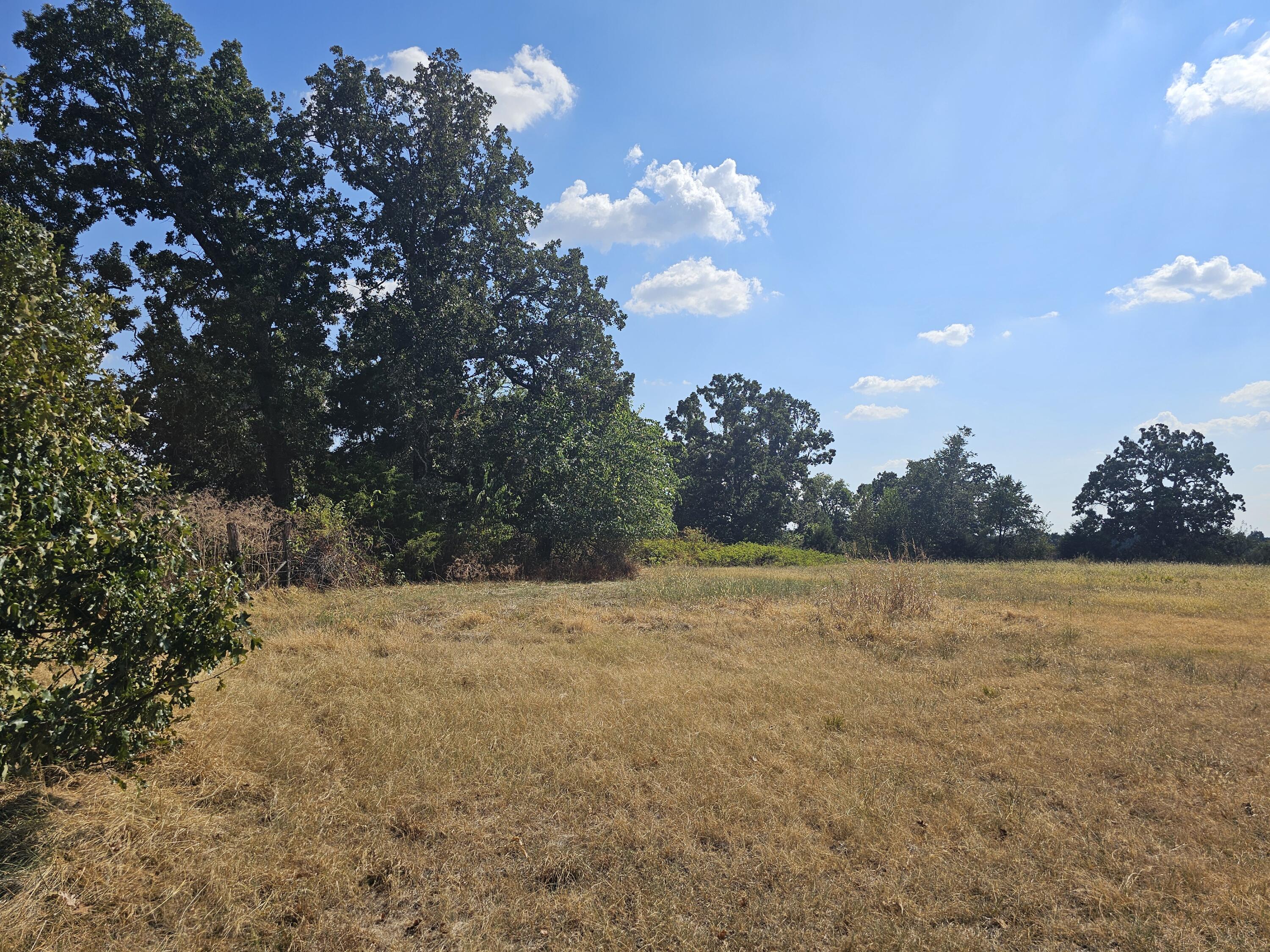 Land for sale – 000 S Highway H   Monett, MO