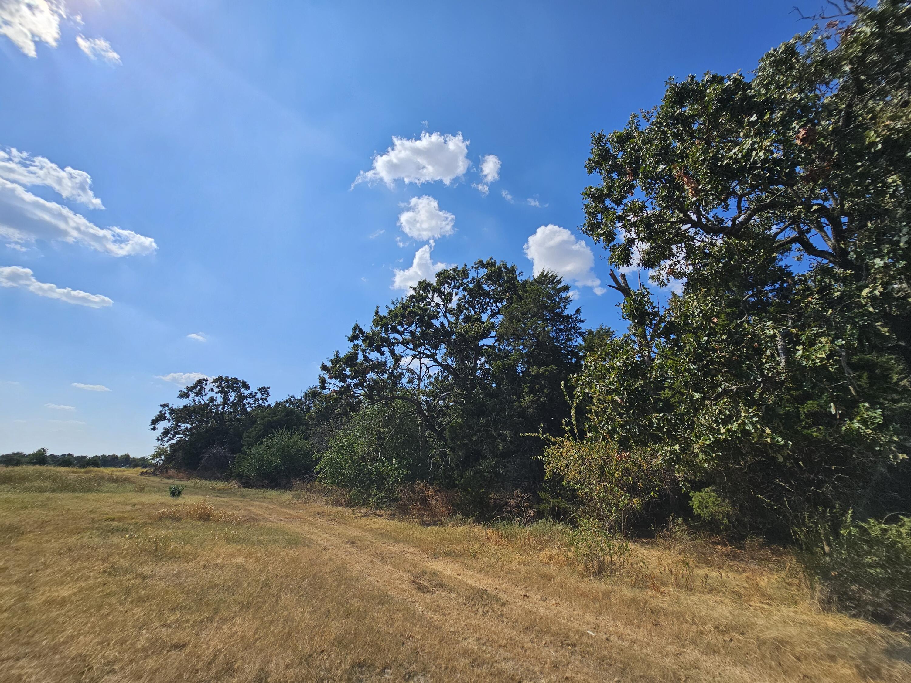Photo 3 - Land for sale – 000 S Highway H   Monett, MO
