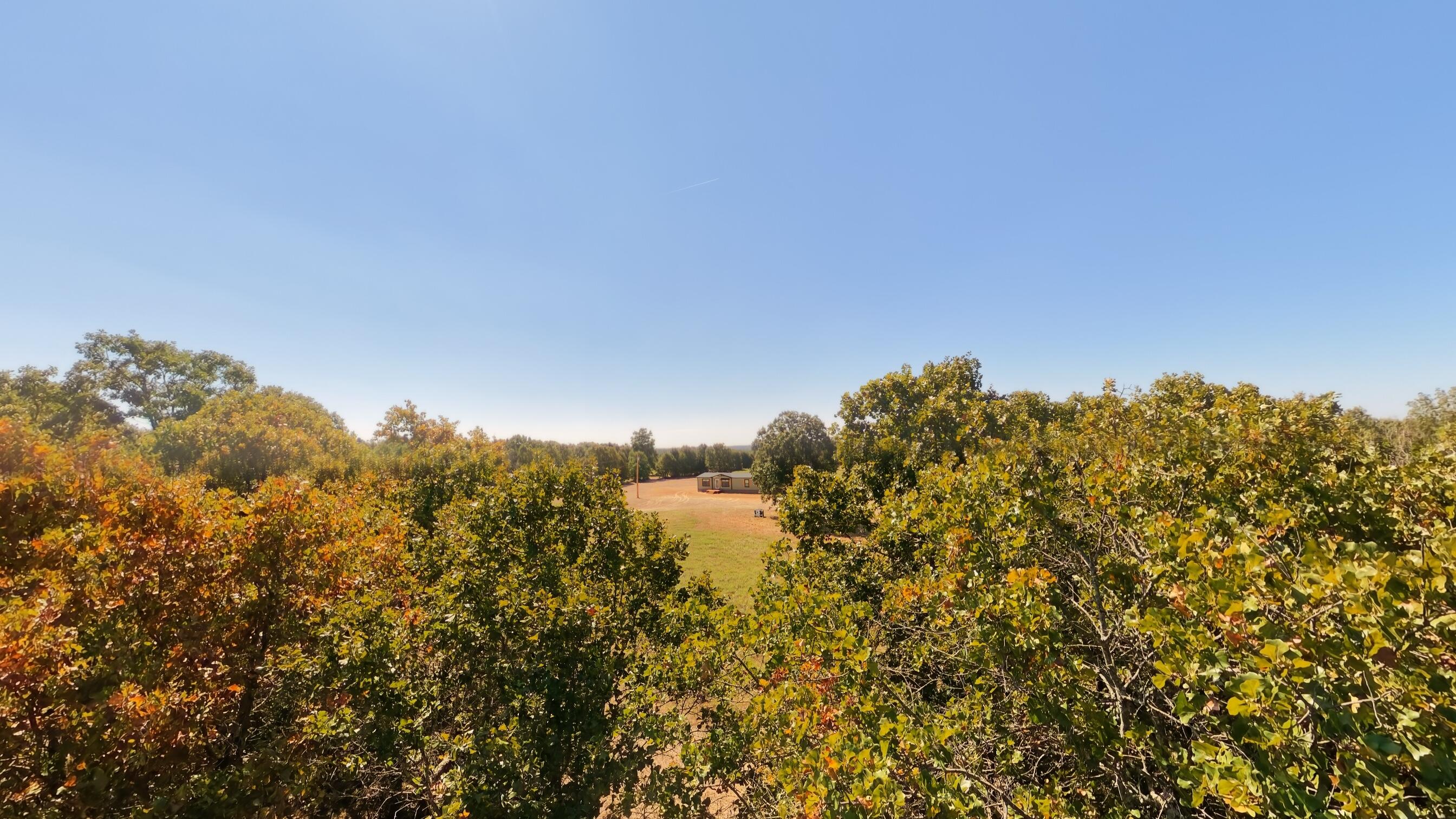 Photo 39 - Residential for sale – 000  Pleasant Run Road  Mammoth Spring, AR