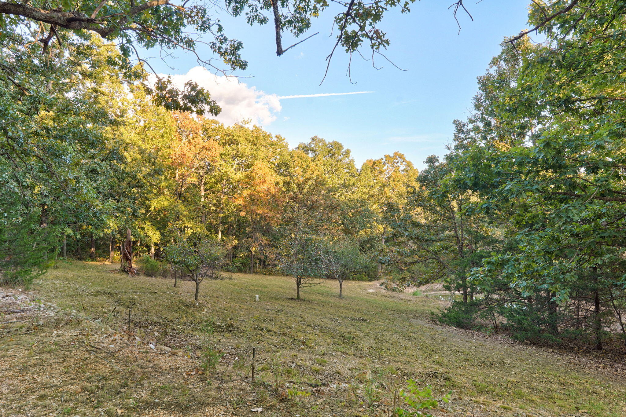 Photo 44 - Residential for sale – 3078  Meyers Hollow Road  Marshfield, MO