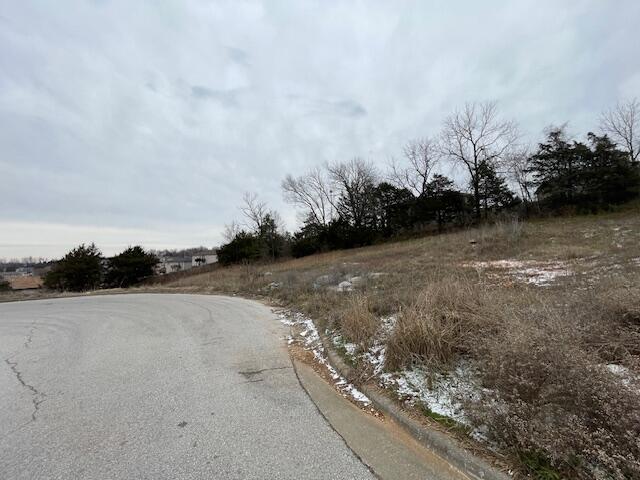Photo 2 - Land for sale – 1408-1410 S Tree Top Court  Ozark, MO