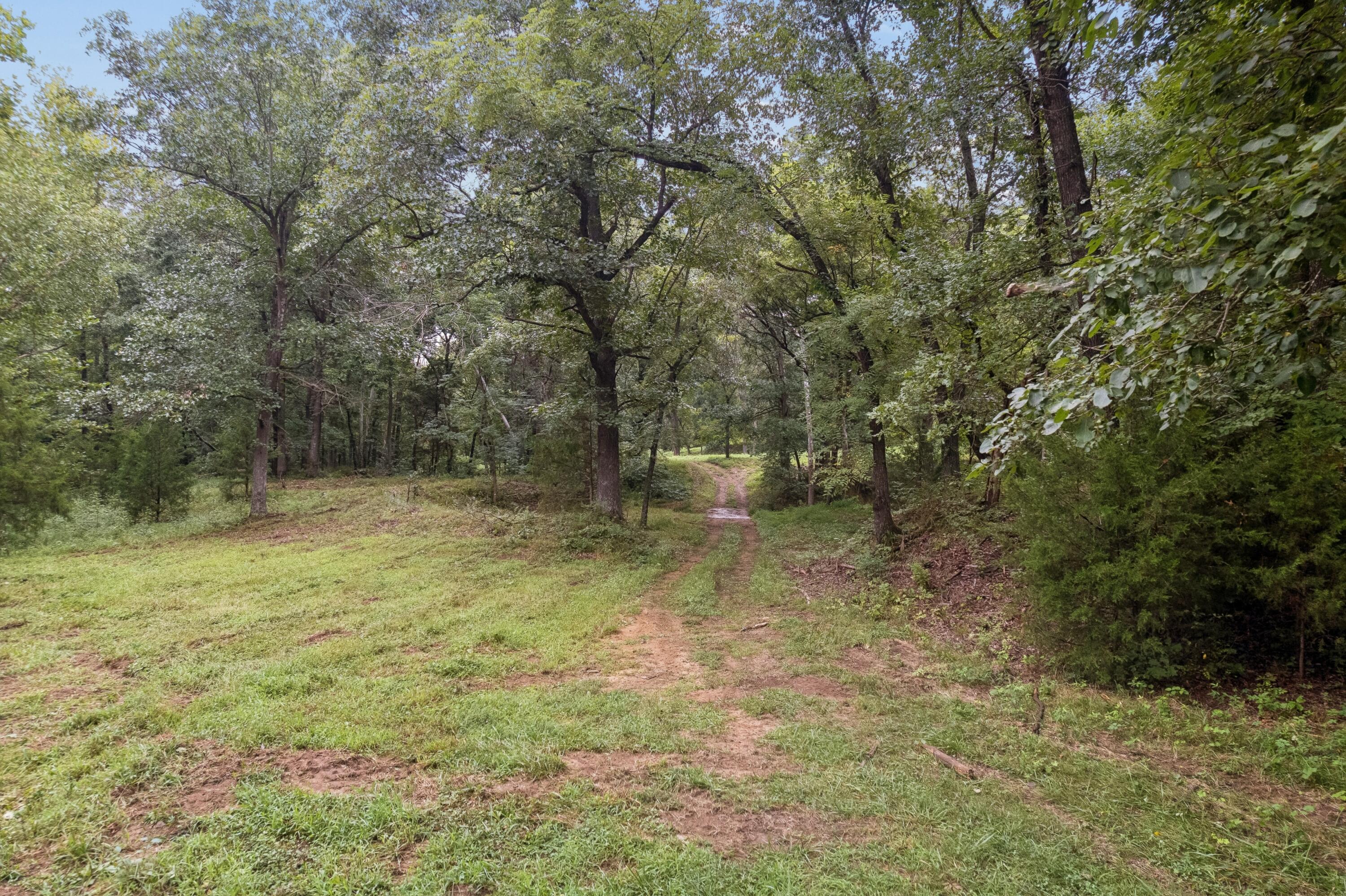 Photo 68 - Residential for sale – 401 SE Highway W   Stockton, MO