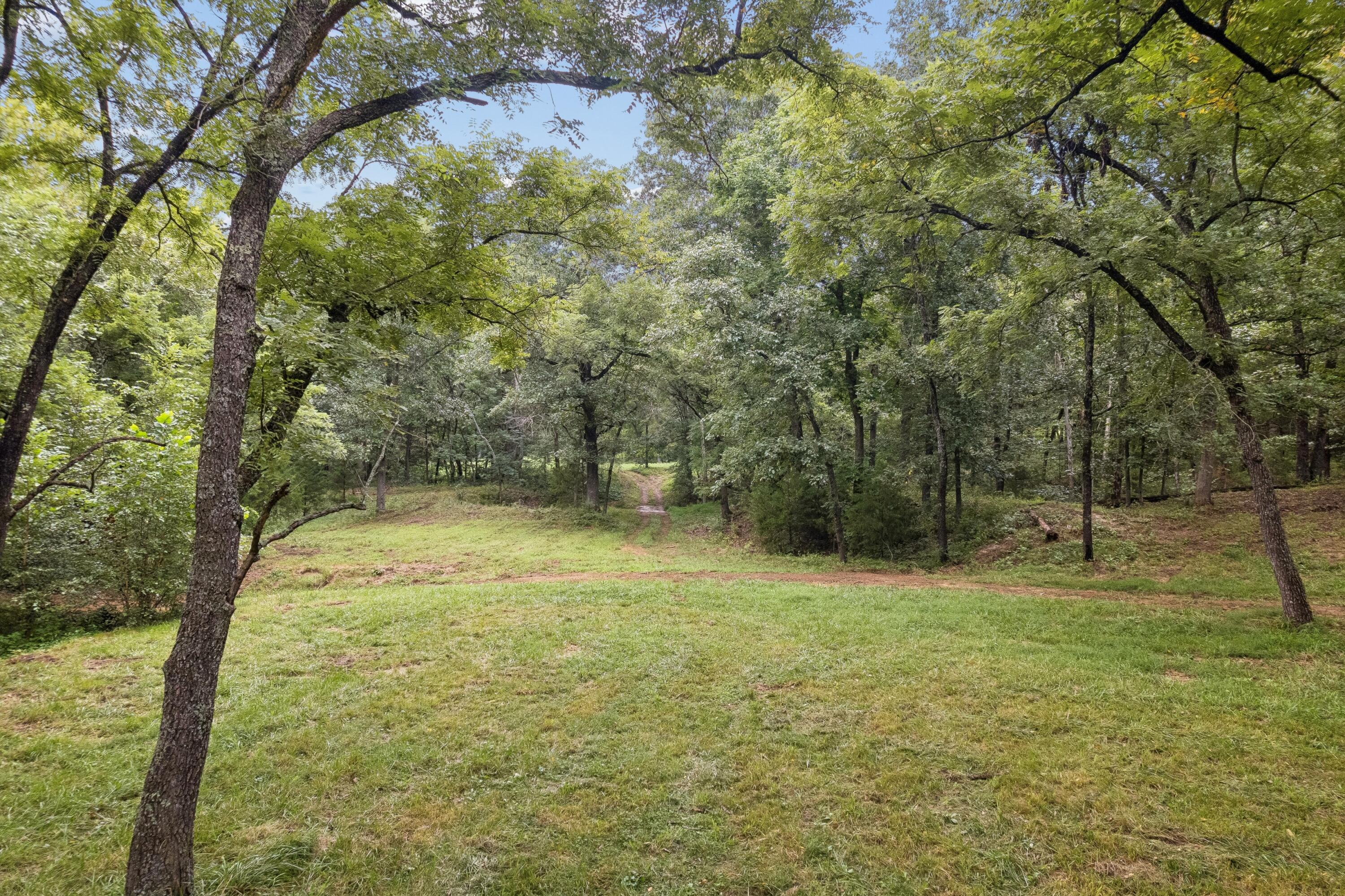 Photo 69 - Residential for sale – 401 SE Highway W   Stockton, MO