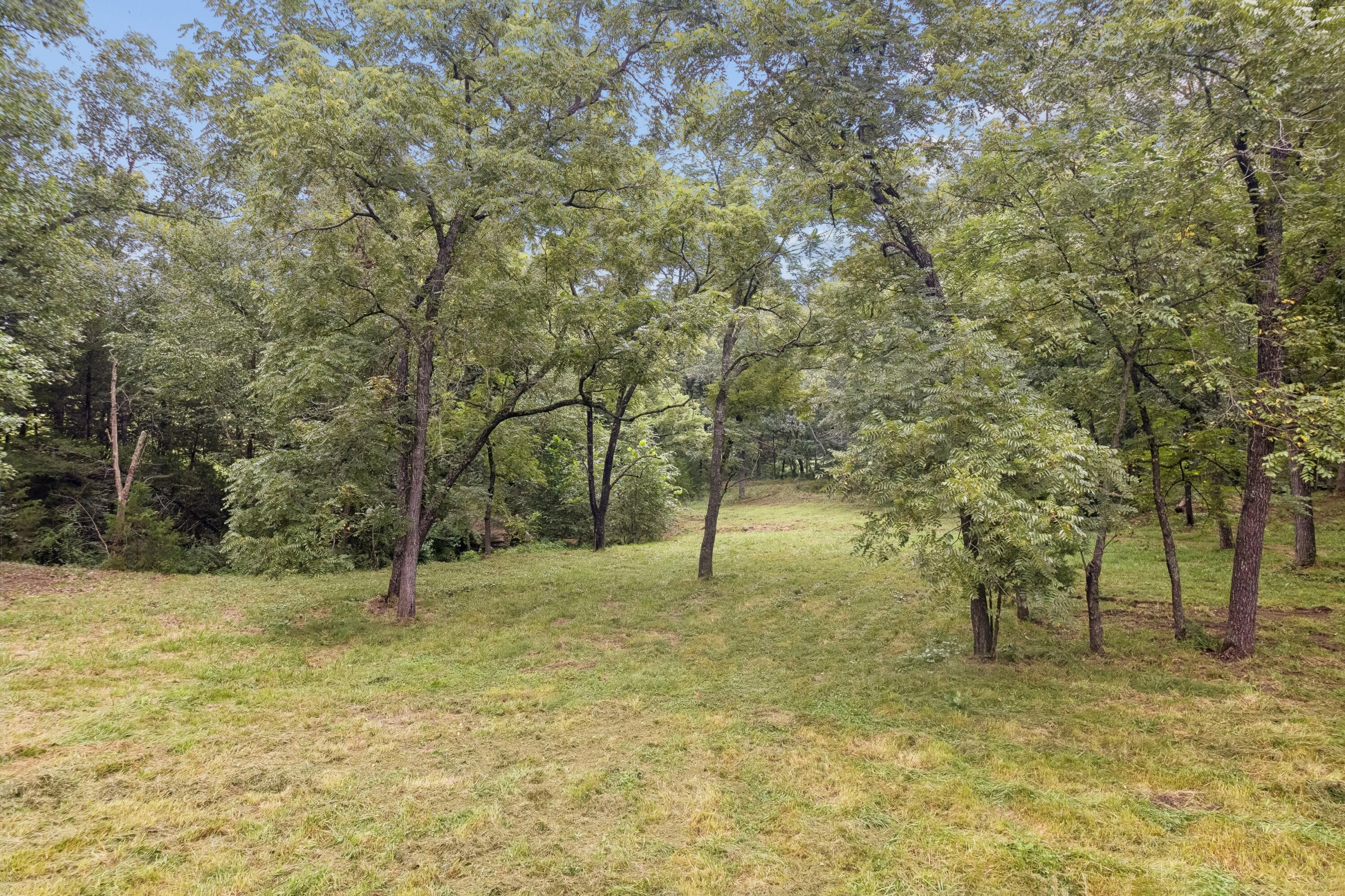 Photo 70 - Residential for sale – 401 SE Highway W   Stockton, MO