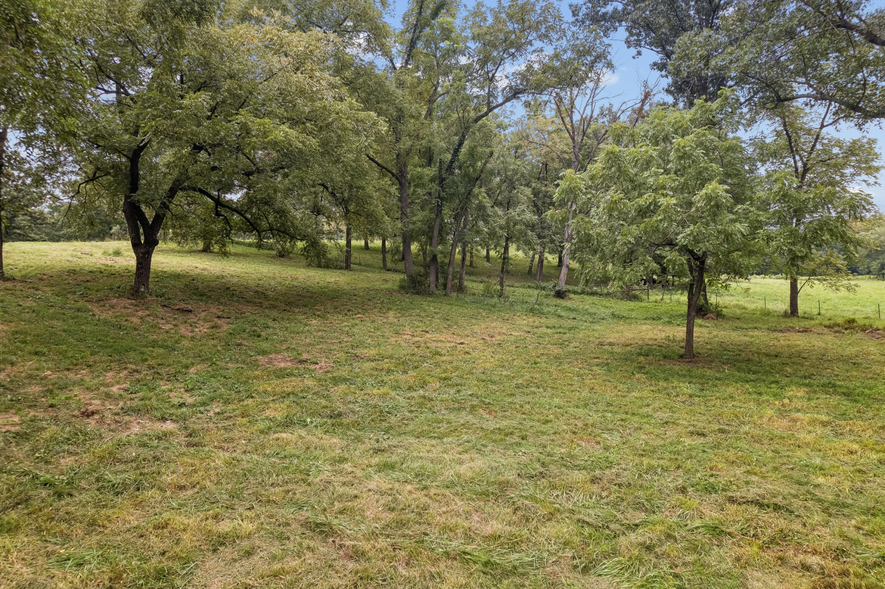 Photo 67 - Residential for sale – 401 SE Highway W   Stockton, MO