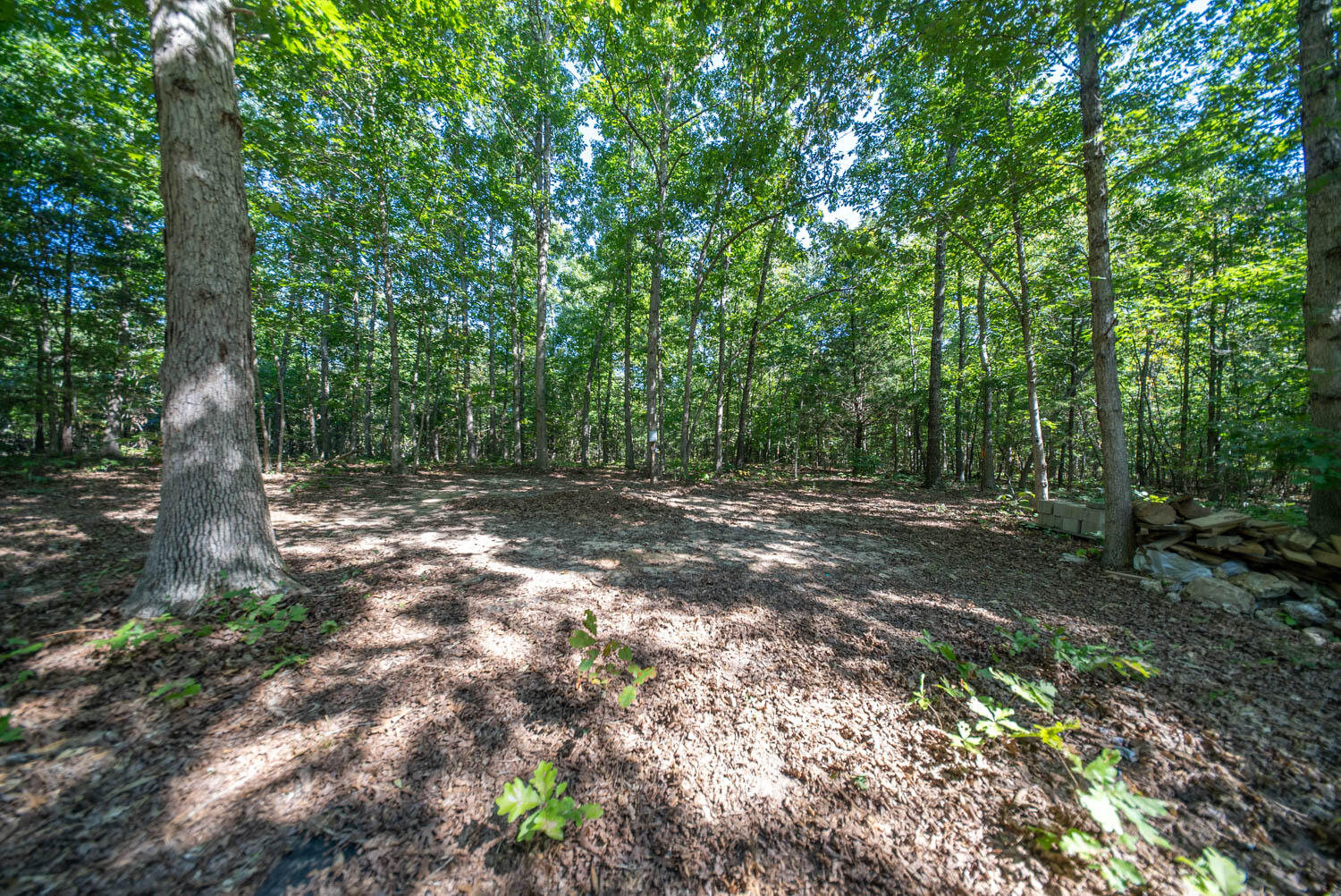 Photo 16 - Land for sale – 000 E County Road 206   Alton, MO