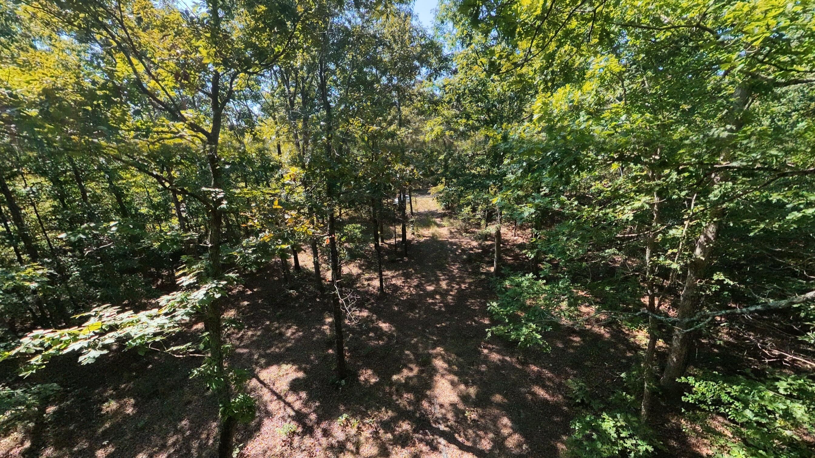 Photo 5 - Land for sale – 000 E County Road 206   Alton, MO