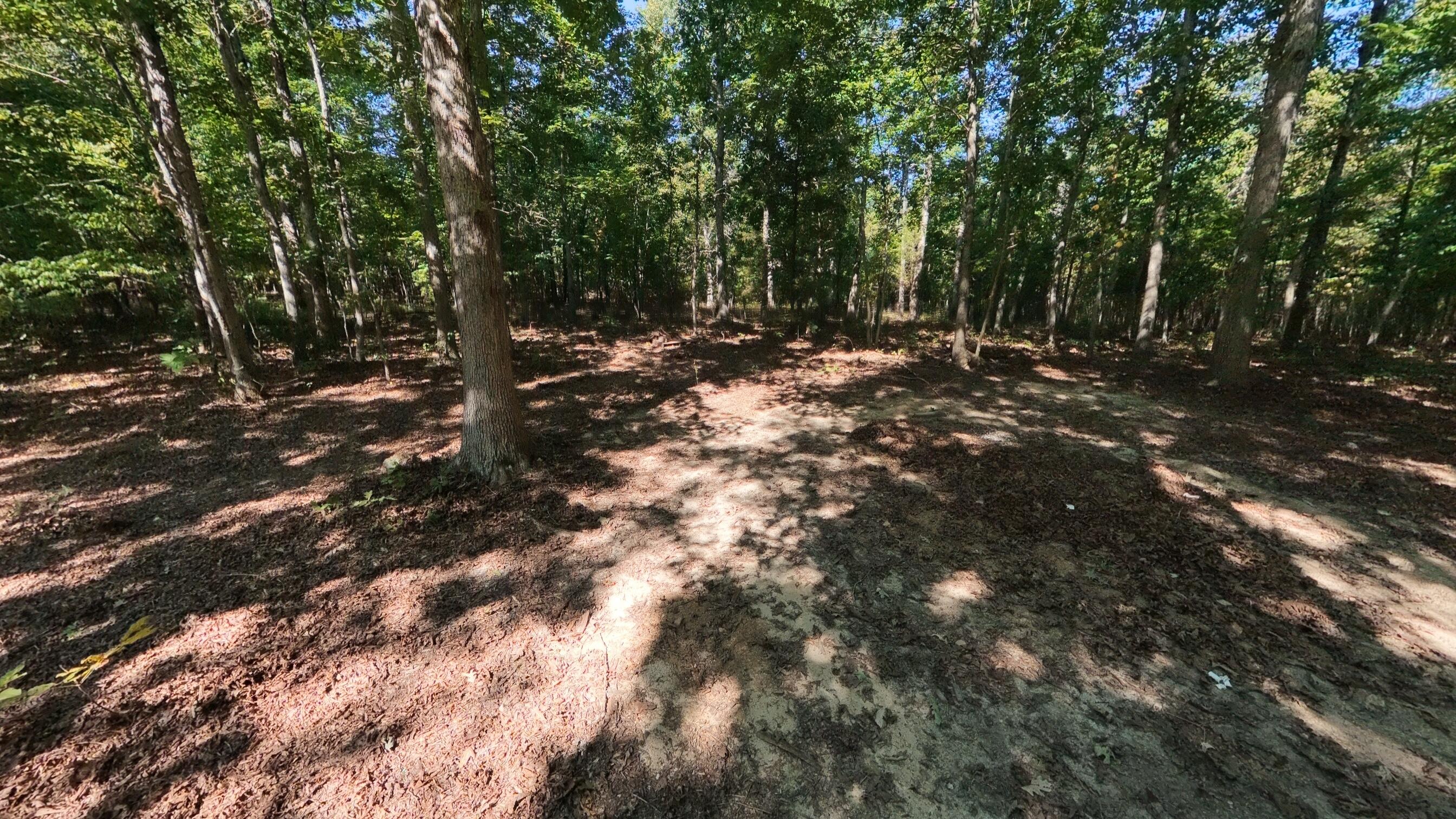 Photo 11 - Land for sale – 000 E County Road 206   Alton, MO