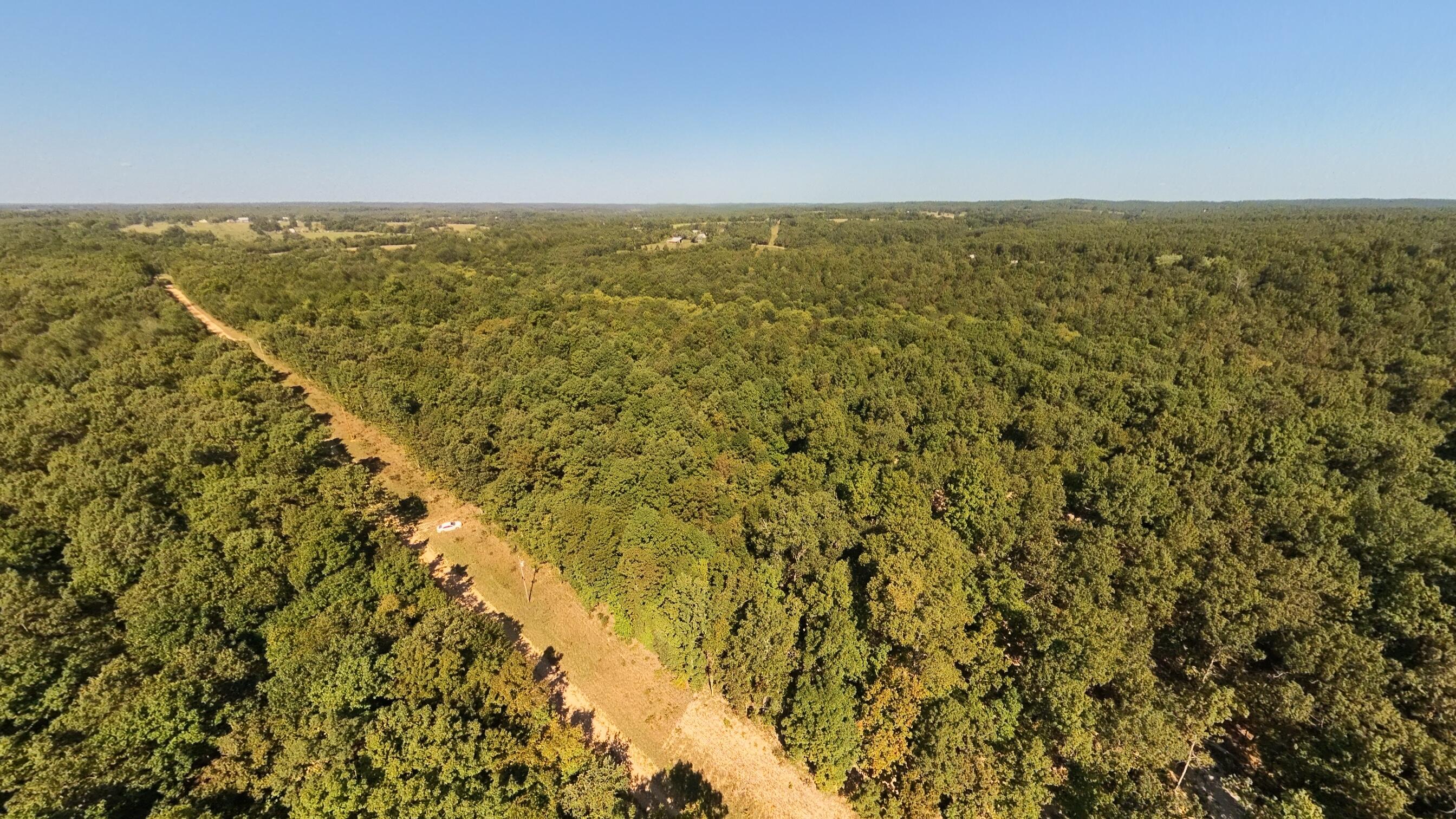 Photo 3 - Land for sale – 000 E County Road 206   Alton, MO