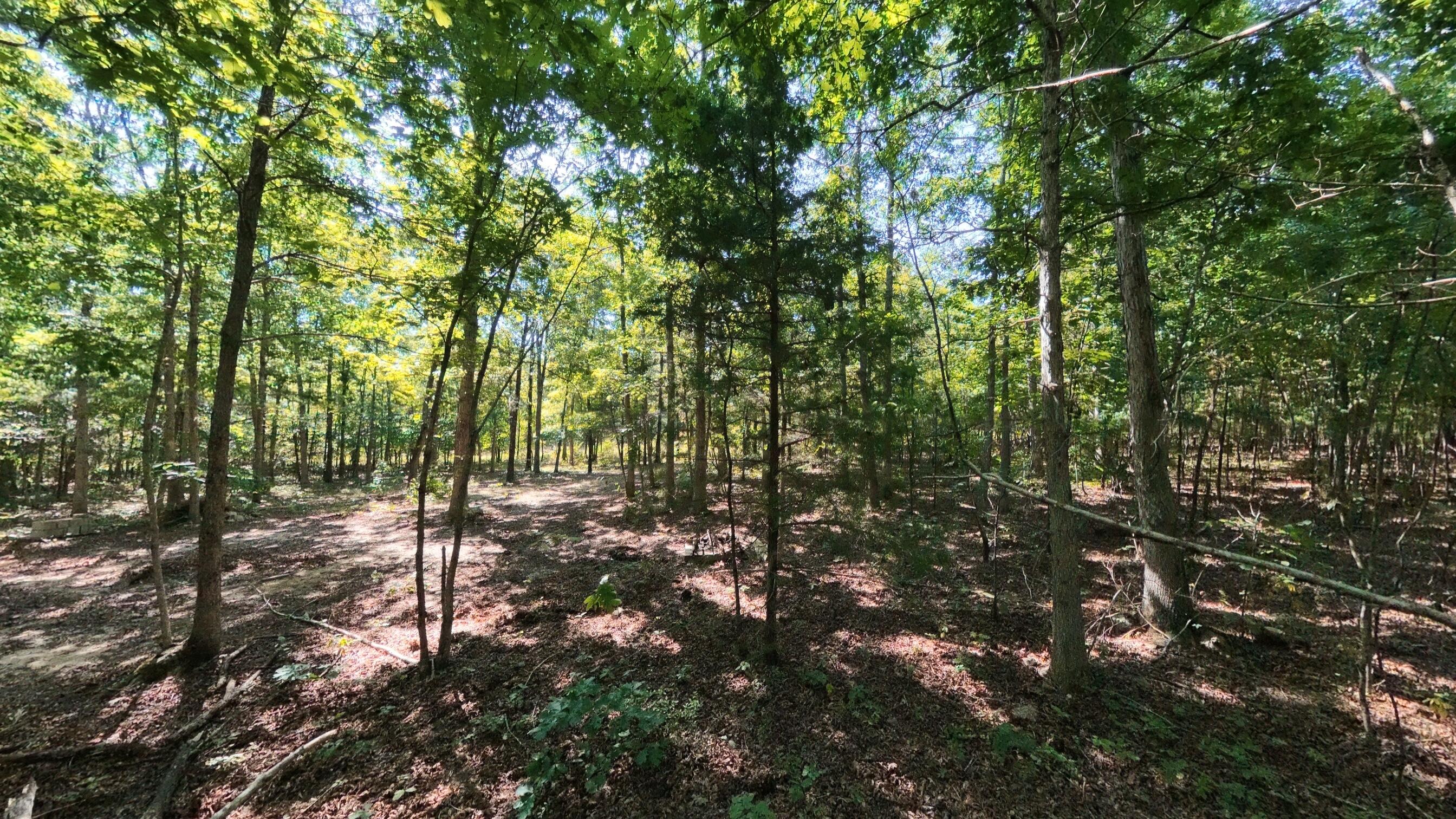 Photo 14 - Land for sale – 000 E County Road 206   Alton, MO