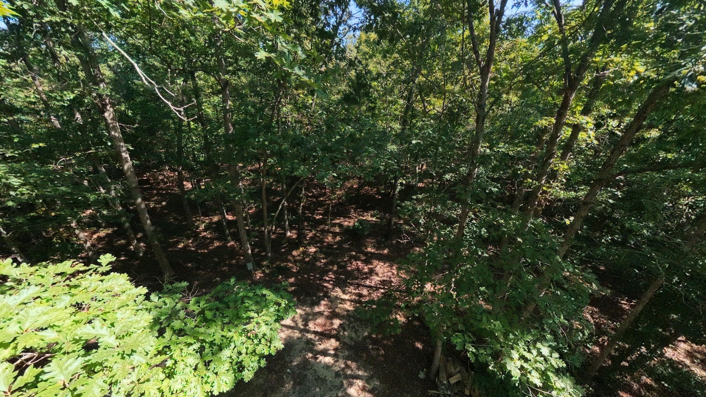 Photo 7 - Land for sale – 000 E County Road 206   Alton, MO