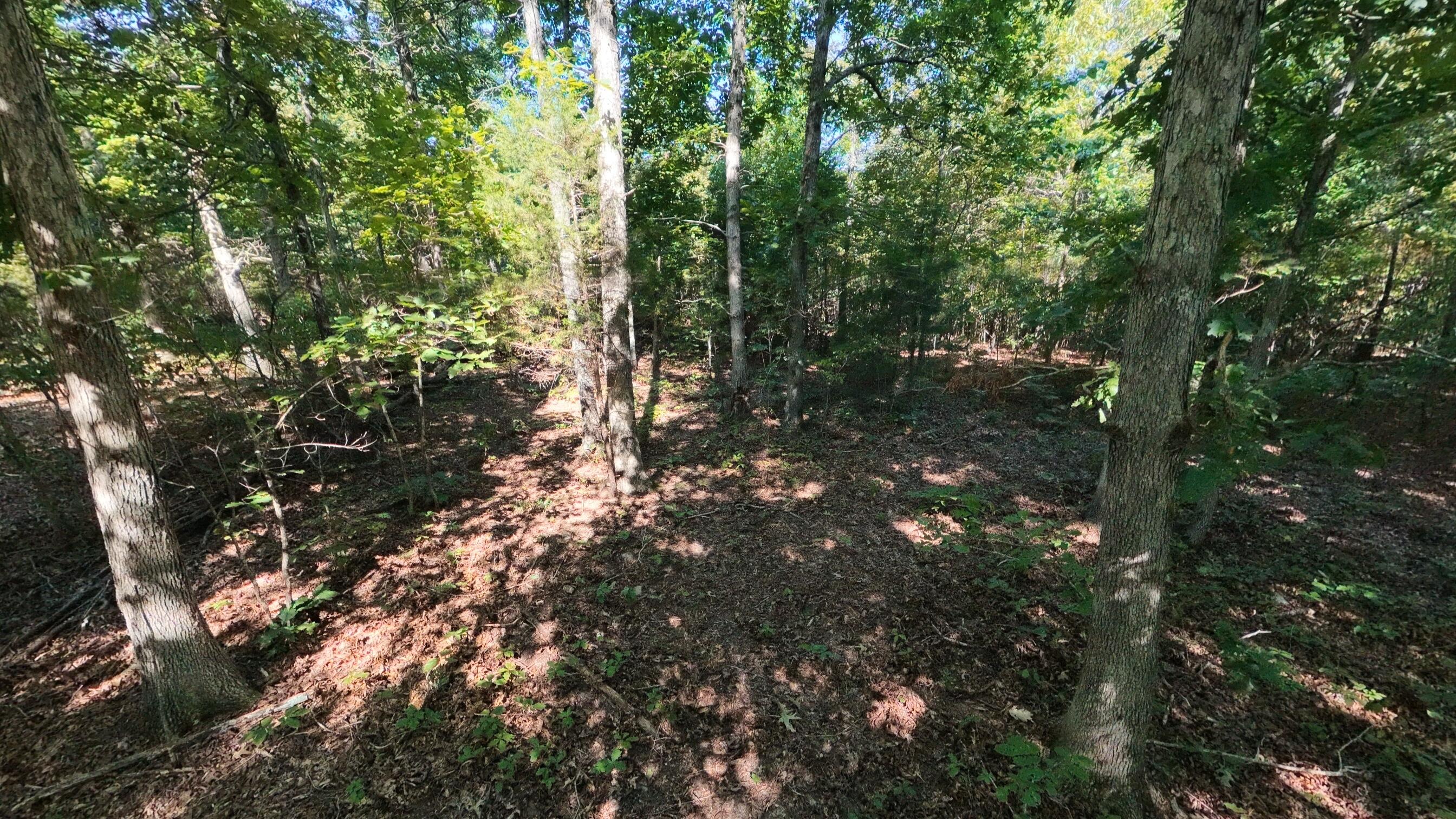 Photo 13 - Land for sale – 000 E County Road 206   Alton, MO
