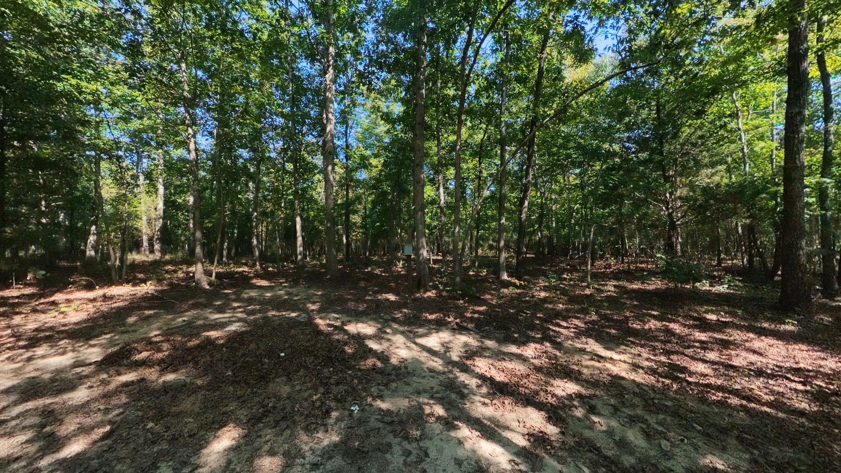Photo 9 - Land for sale – 000 E County Road 206   Alton, MO