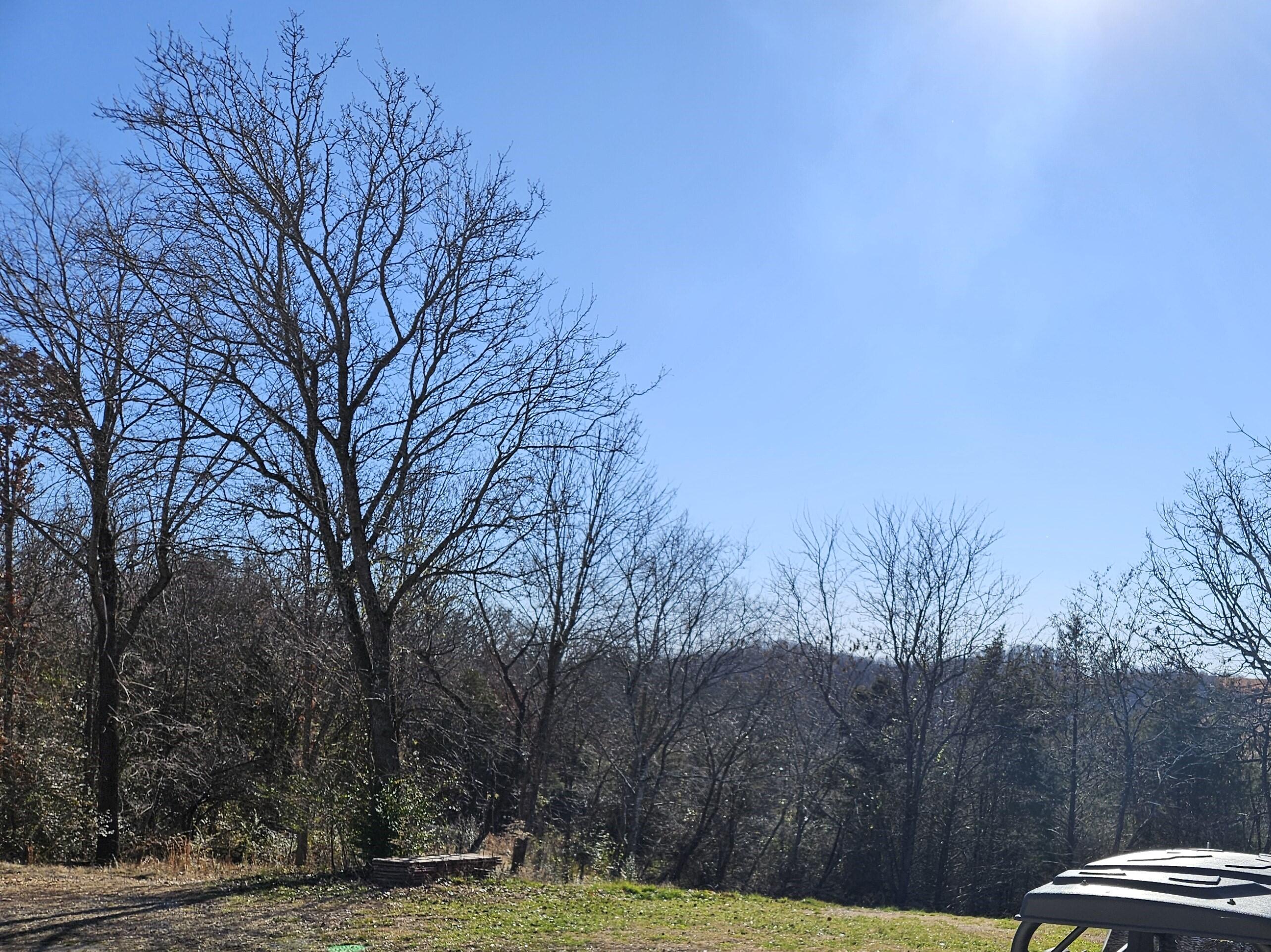 Photo 8 - Residential for sale – 1392 &1442  County Road 806   Gainesville, MO