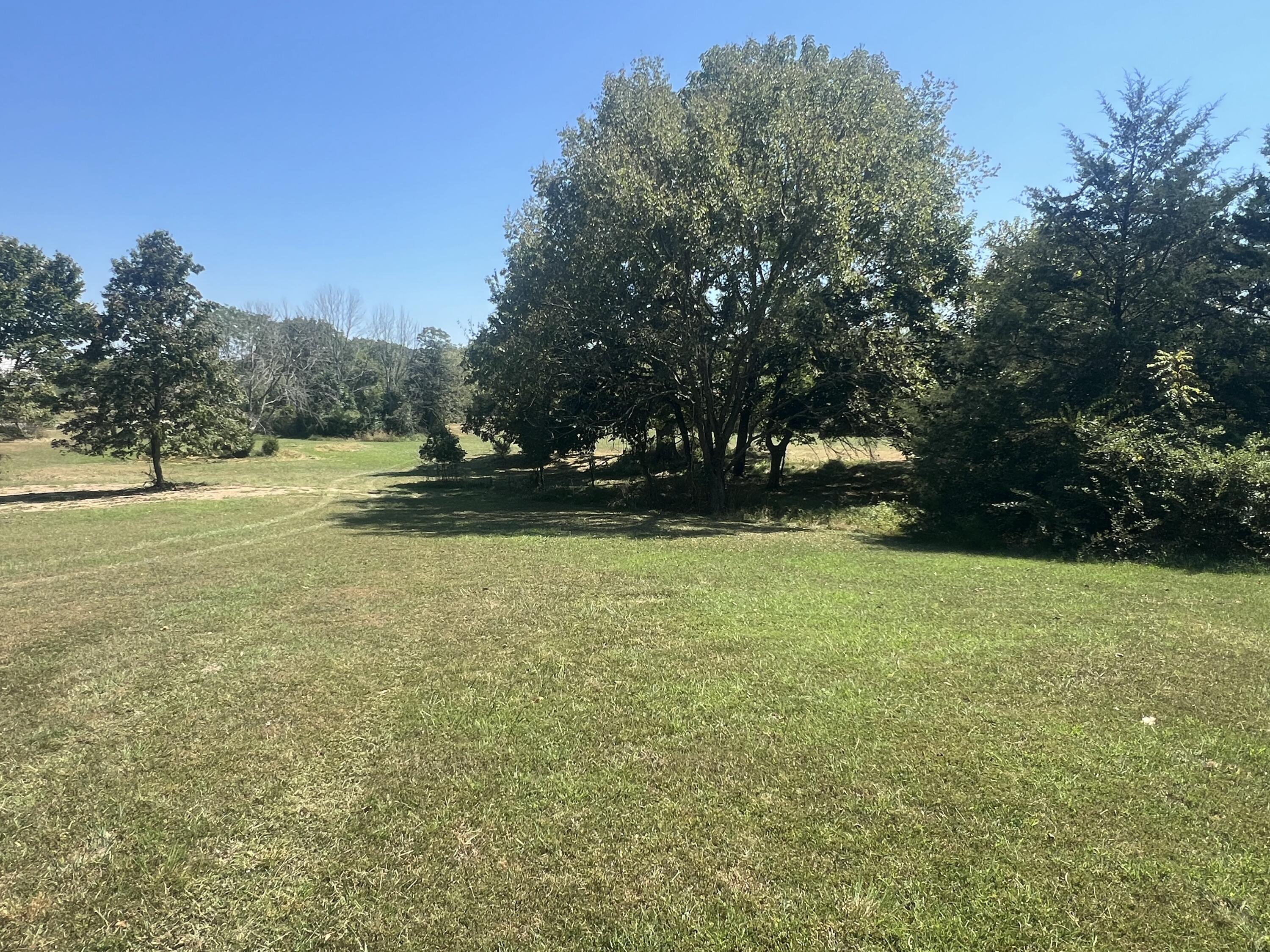 Photo 49 - Residential for sale – 1525 S Farm Road 241   Rogersville, MO