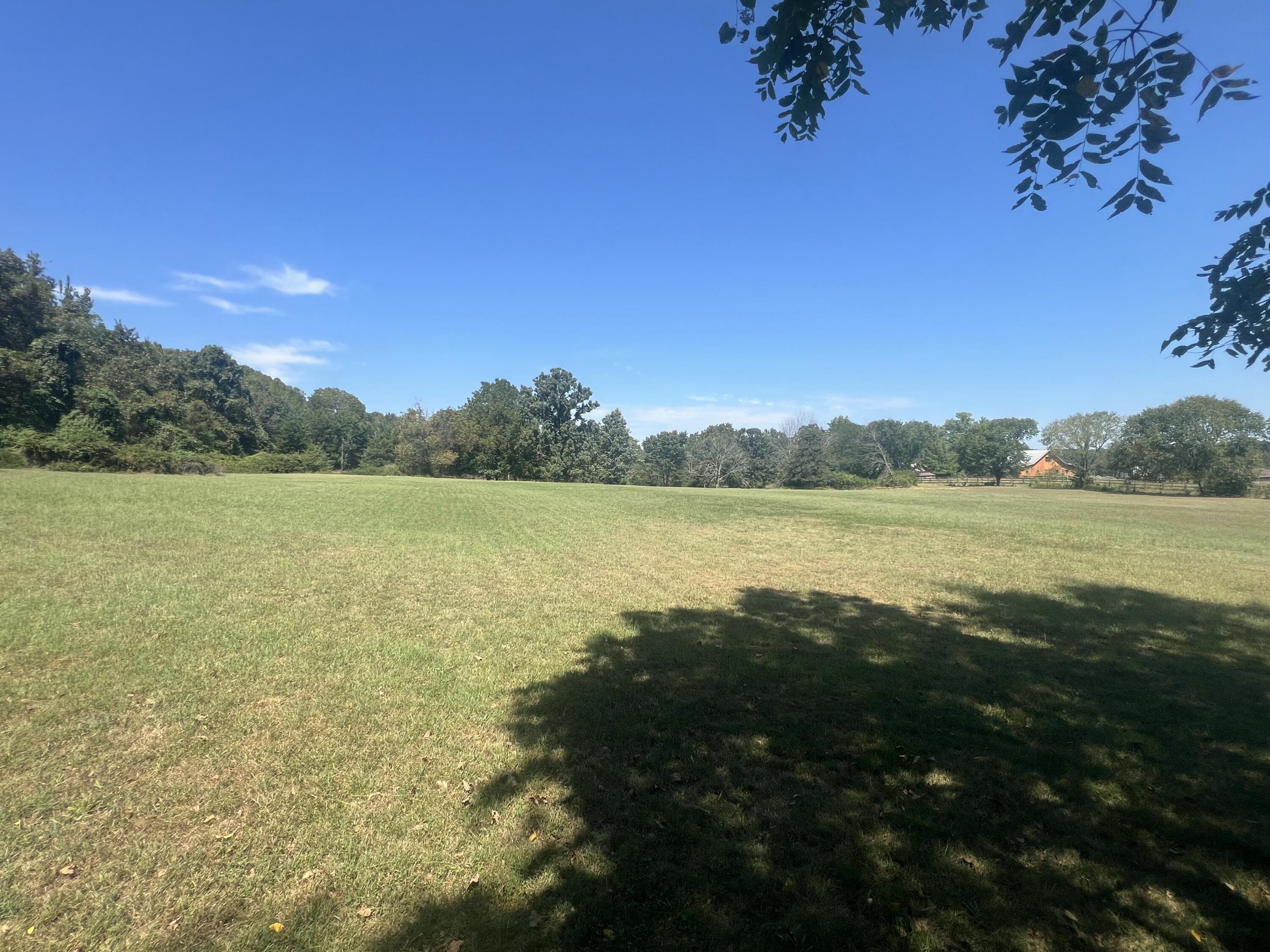 Photo 43 - Residential for sale – 1525 S Farm Road 241   Rogersville, MO