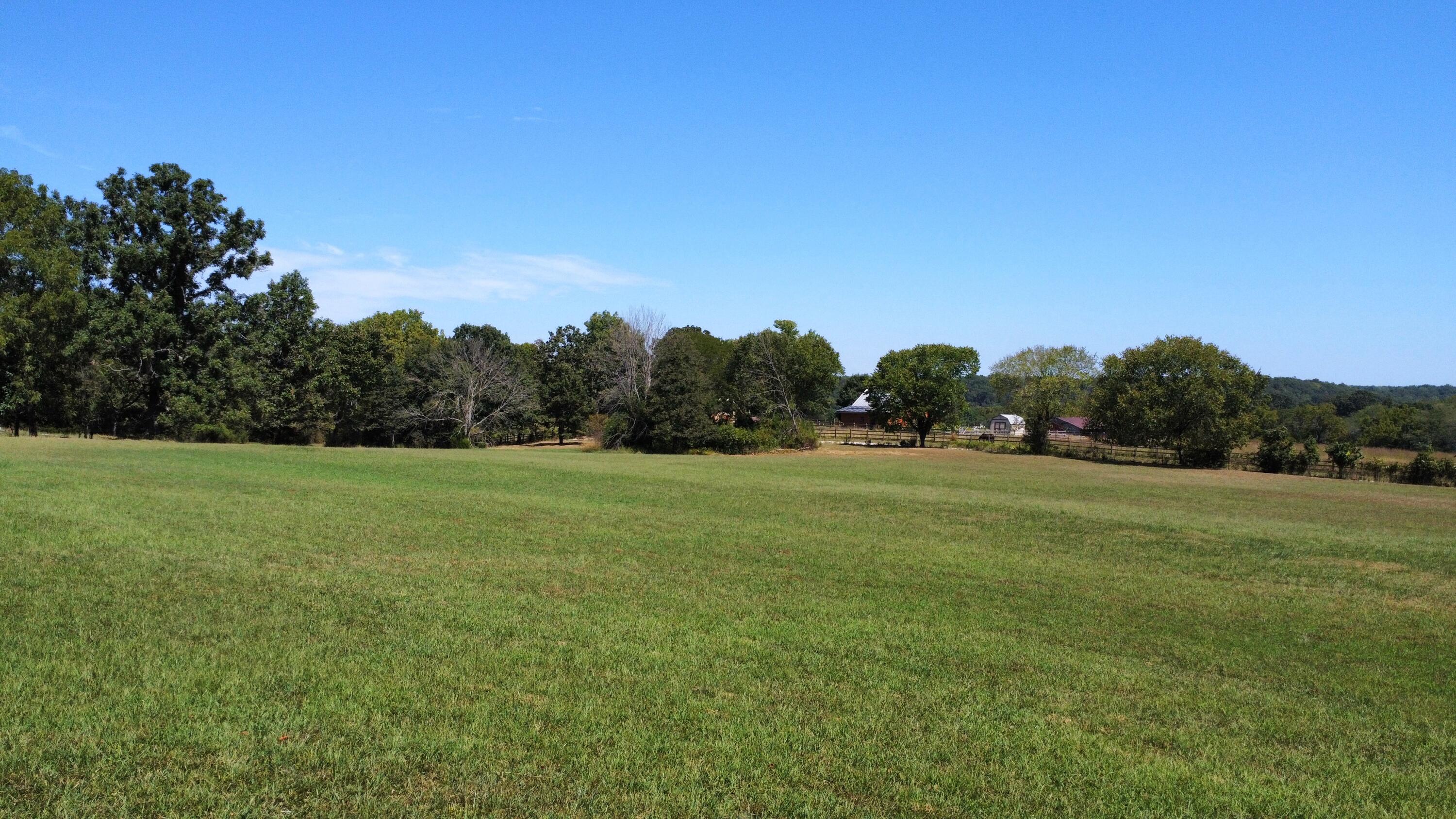 Photo 3 - Residential for sale – 1525 S Farm Road 241   Rogersville, MO