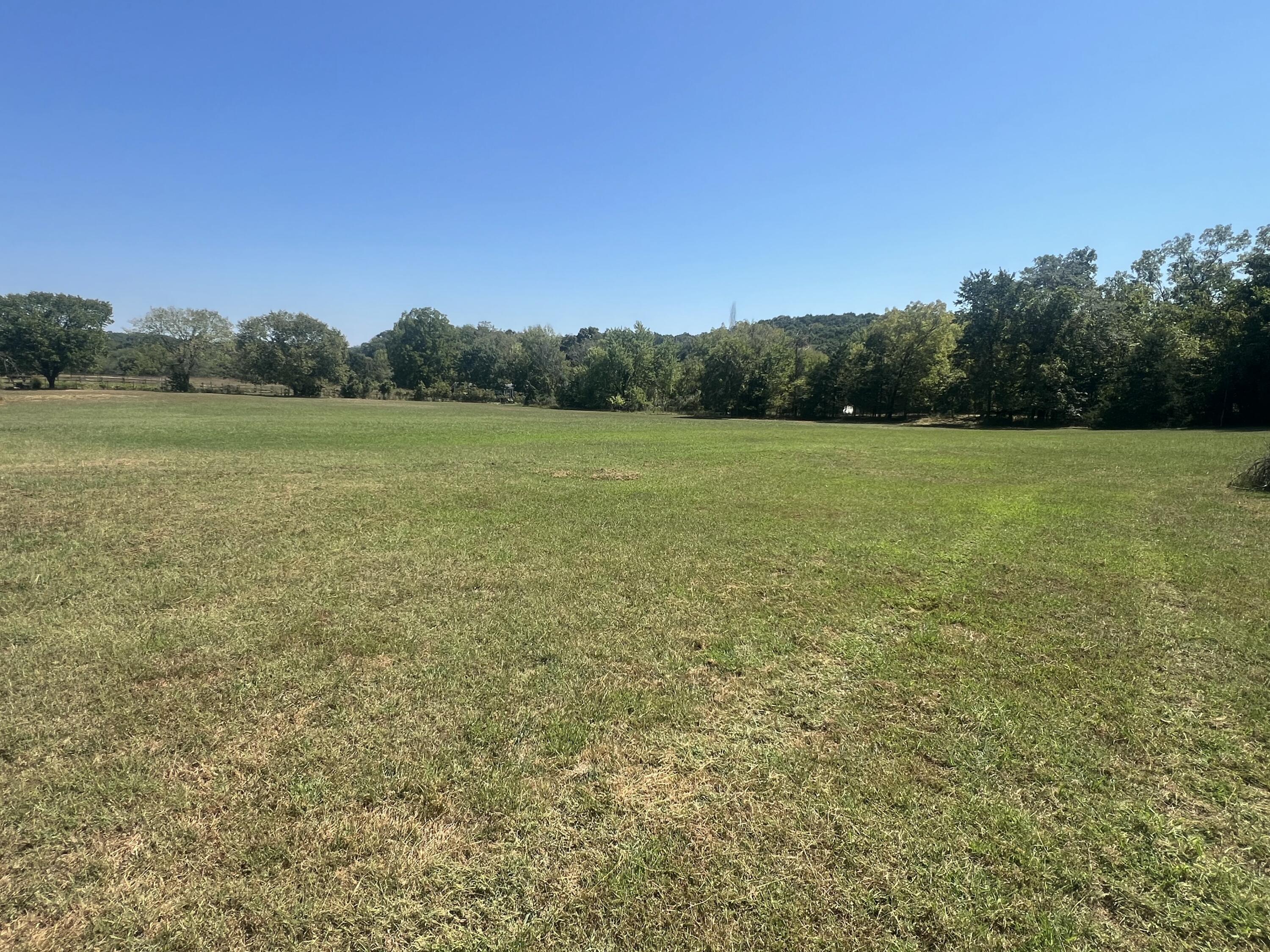 Photo 46 - Residential for sale – 1525 S Farm Road 241   Rogersville, MO