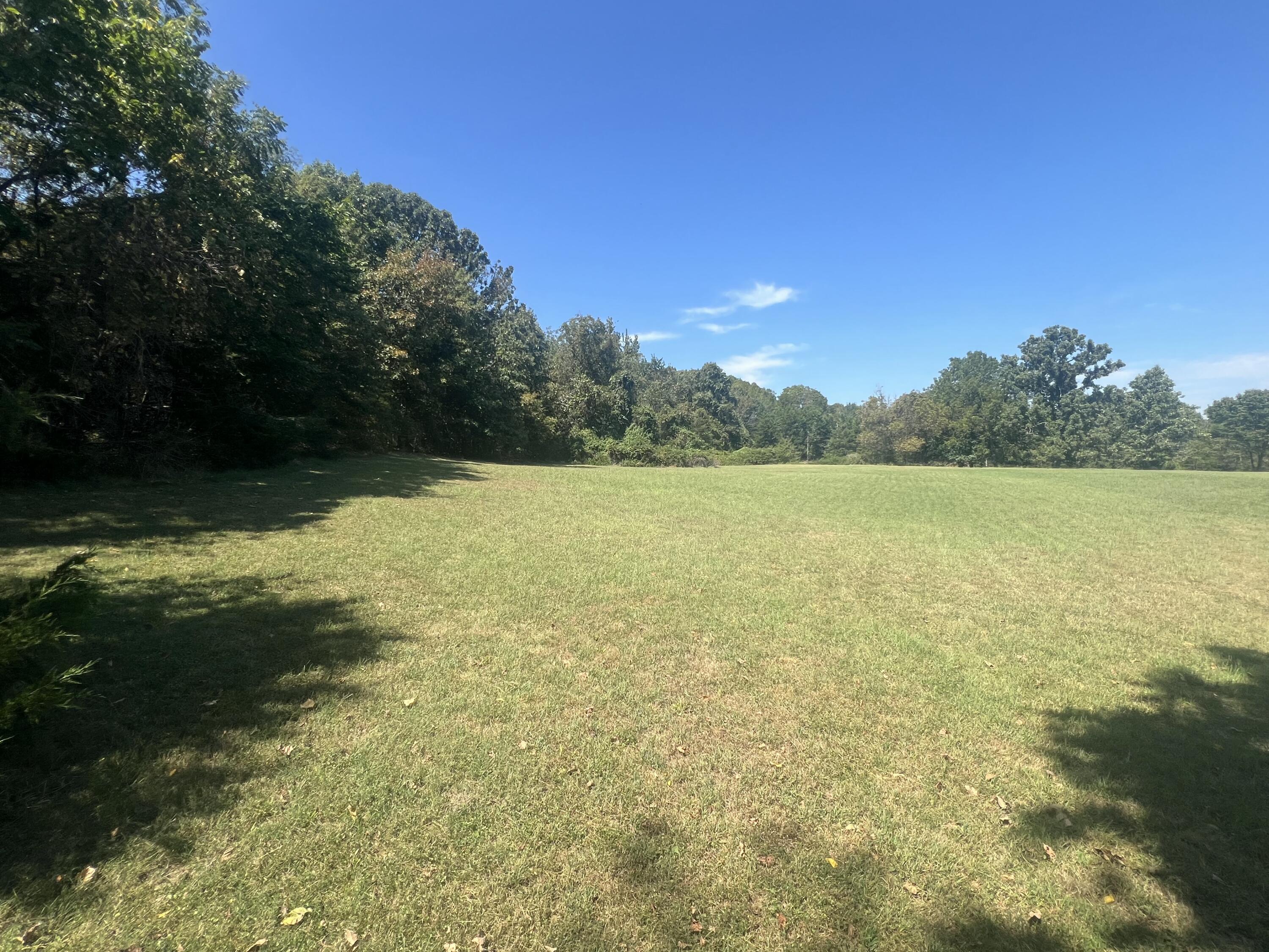 Photo 44 - Residential for sale – 1525 S Farm Road 241   Rogersville, MO