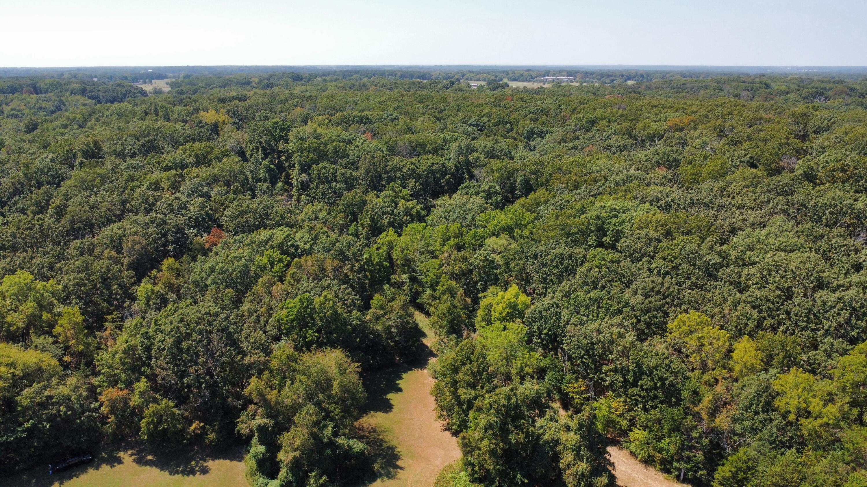 Photo 53 - Residential for sale – 1525 S Farm Road 241   Rogersville, MO