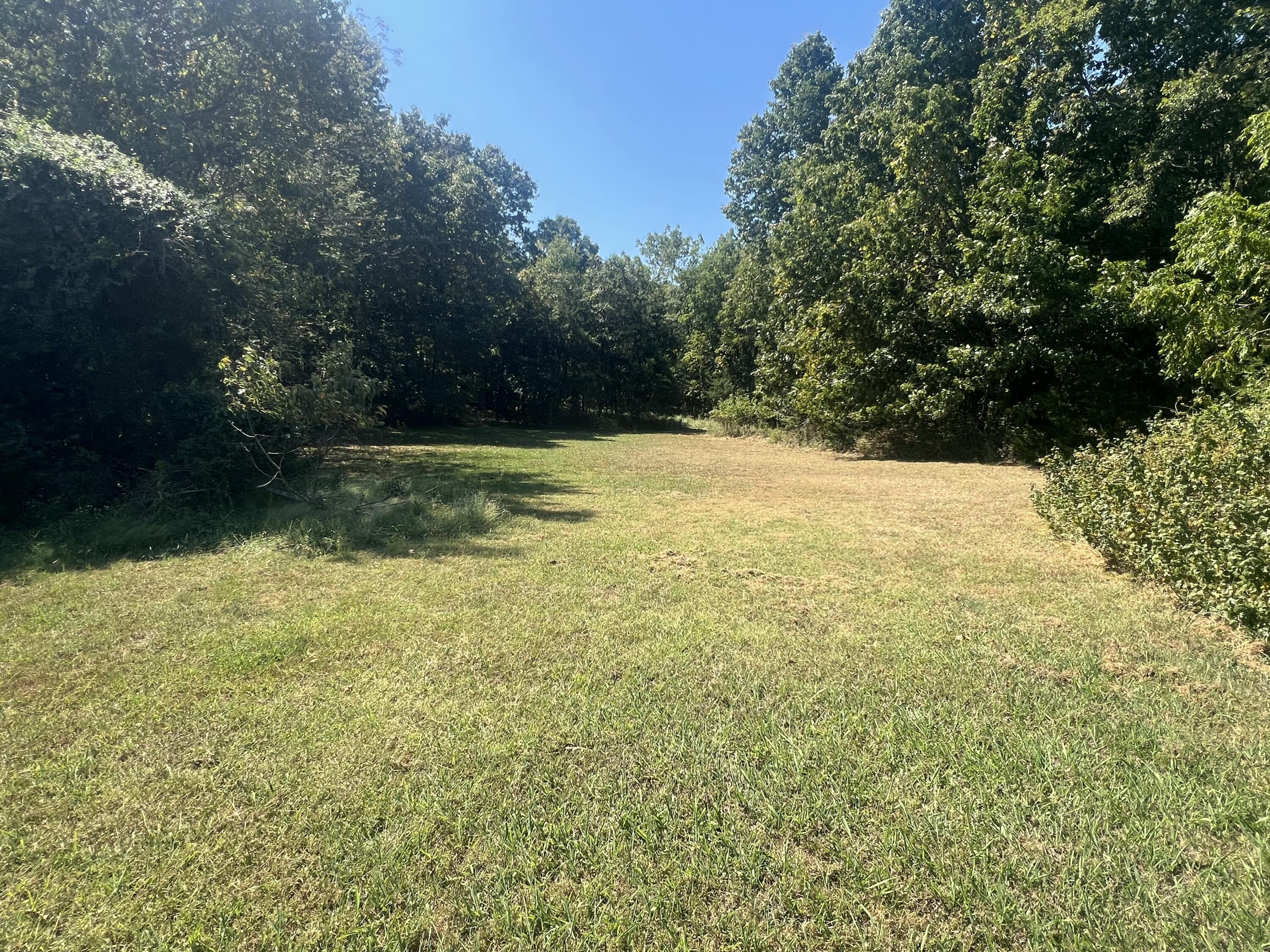 Photo 45 - Residential for sale – 1525 S Farm Road 241   Rogersville, MO