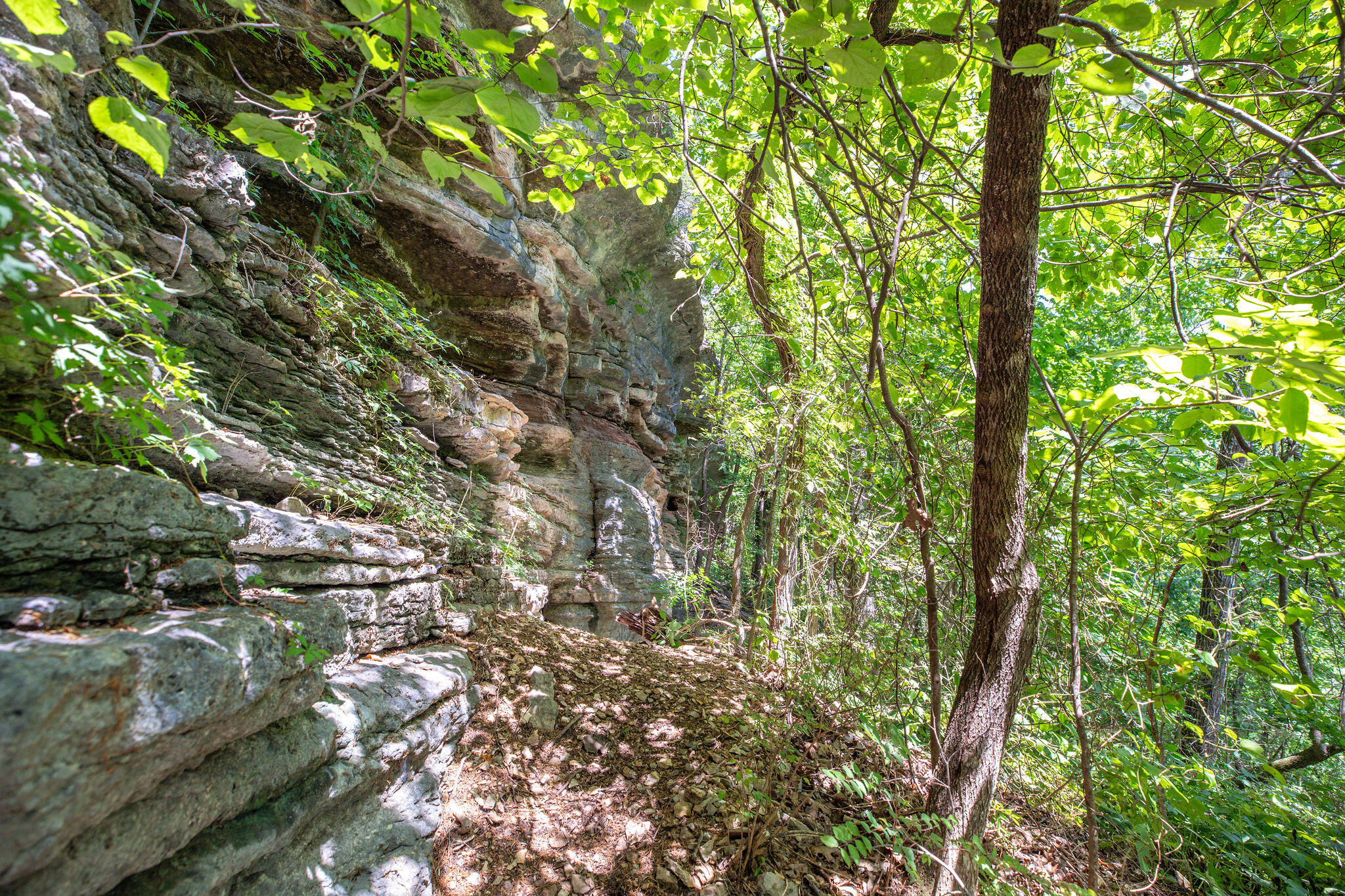 Photo 48 - Residential for sale – 3961  County Road 102   Eureka Springs, AR
