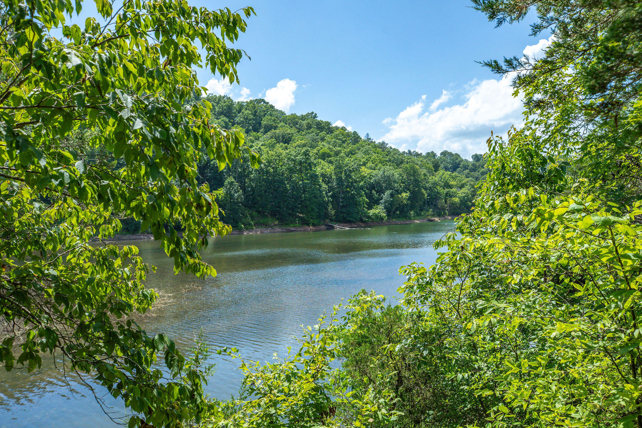 Photo 52 - Residential for sale – 3961  County Road 102   Eureka Springs, AR