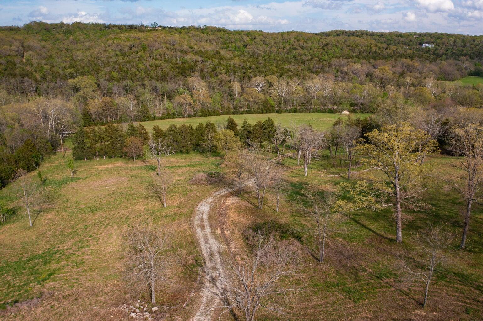 Photo 14 - Land for sale – 000  Dunn Road  Walnut Shade, MO