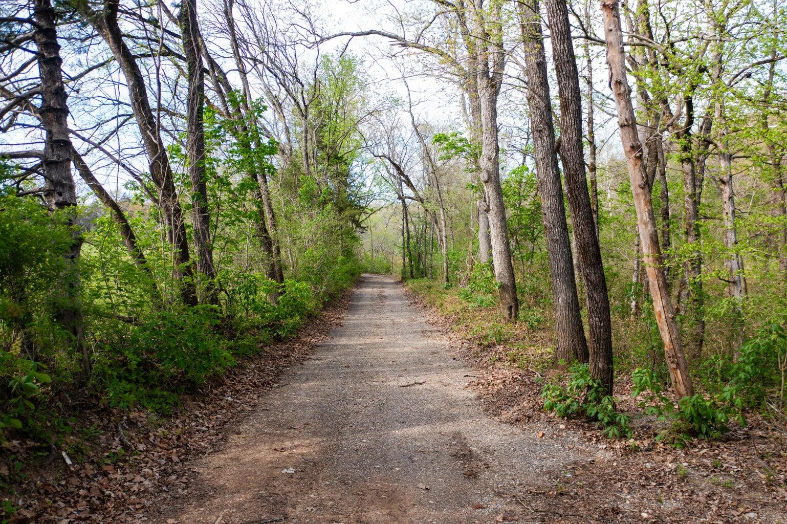 Photo 20 - Land for sale – 000  Dunn Road  Walnut Shade, MO