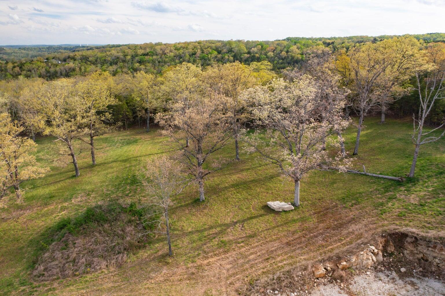 Photo 4 - Land for sale – 000  Dunn Road  Walnut Shade, MO