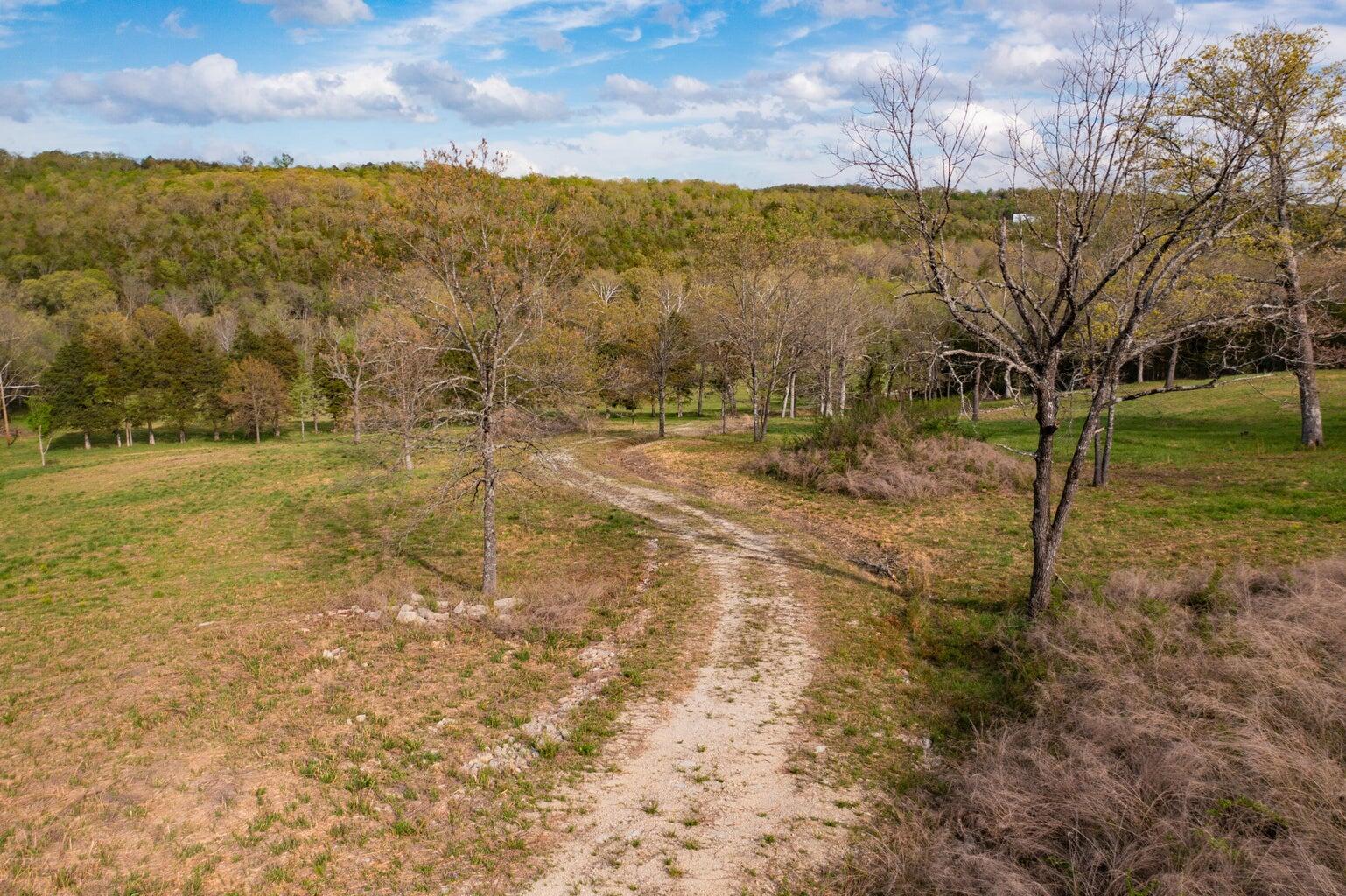 Photo 13 - Land for sale – 000  Dunn Road  Walnut Shade, MO