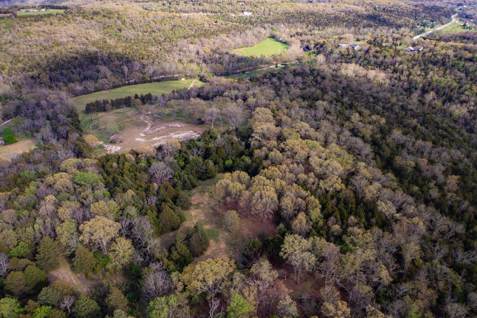 Photo 12 - Land for sale – 000  Dunn Road  Walnut Shade, MO