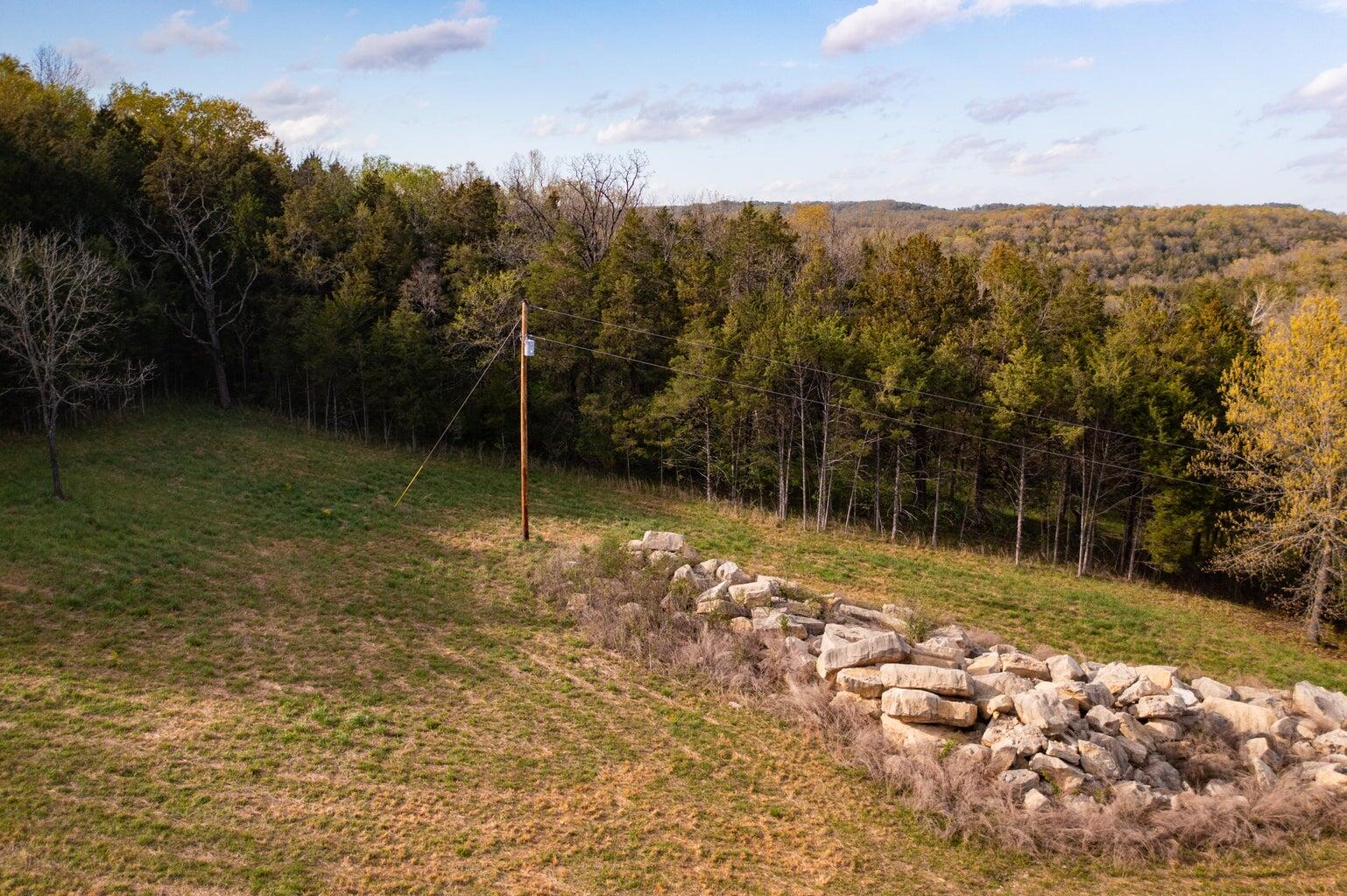 Photo 9 - Land for sale – 000  Dunn Road  Walnut Shade, MO