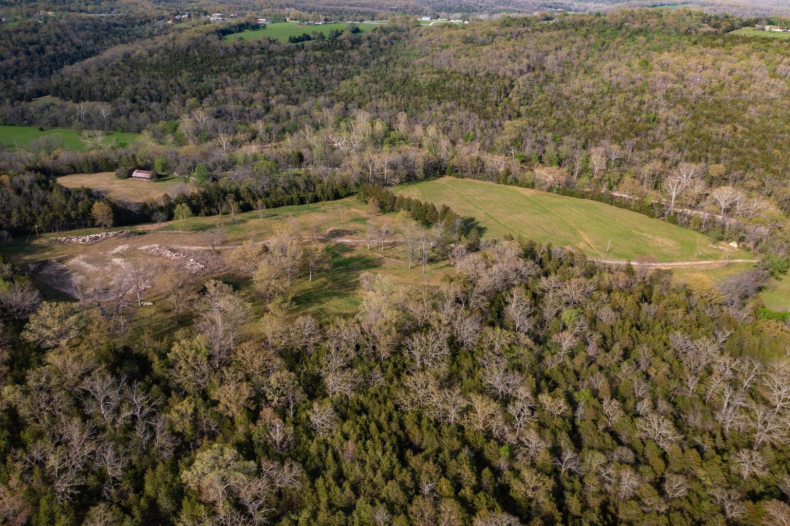 Photo 15 - Land for sale – 000  Dunn Road  Walnut Shade, MO