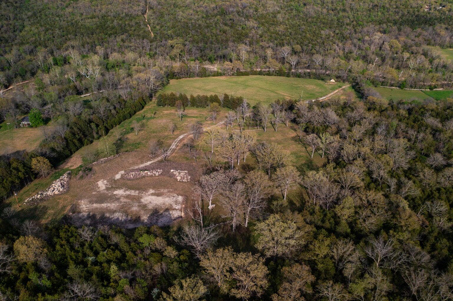 Photo 11 - Land for sale – 000  Dunn Road  Walnut Shade, MO