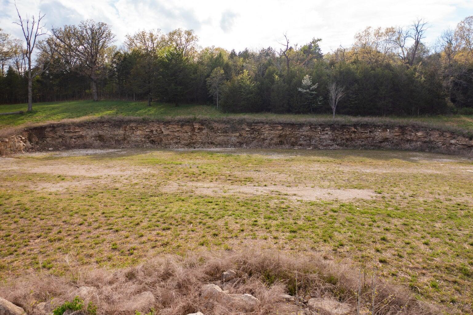 Photo 7 - Land for sale – 000  Dunn Road  Walnut Shade, MO