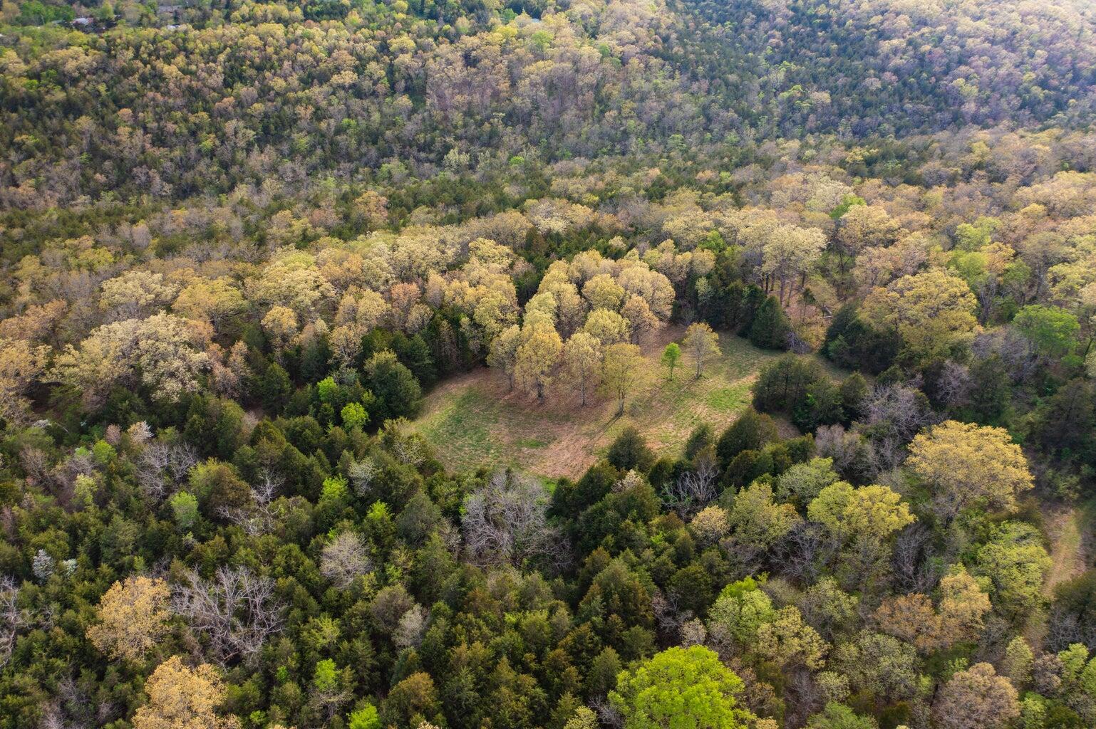 Photo 19 - Land for sale – 000  Dunn Road  Walnut Shade, MO