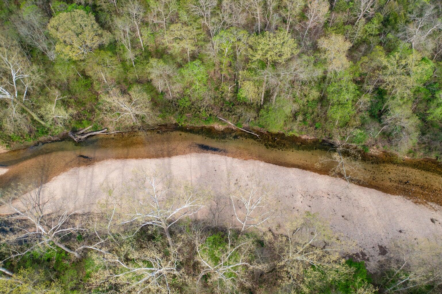 Photo 6 - Land for sale – 000  Dunn Road  Walnut Shade, MO