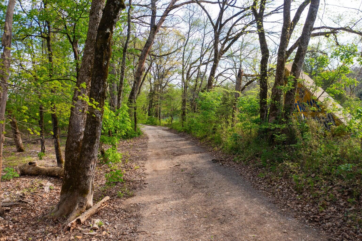 Photo 2 - Land for sale – 000  Dunn Road  Walnut Shade, MO
