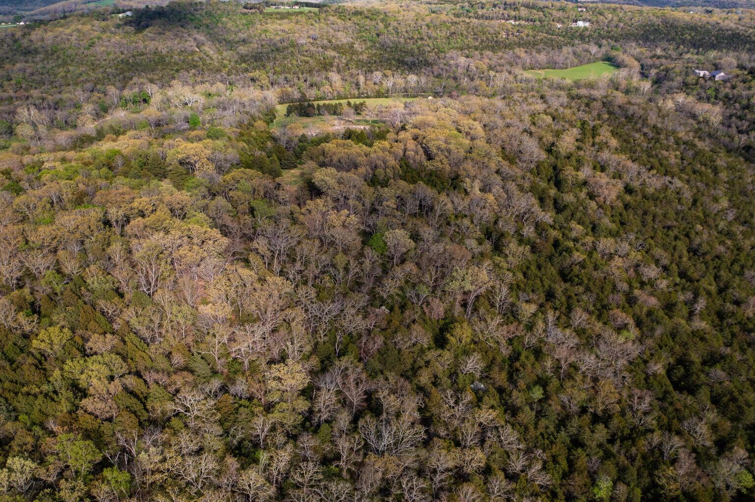 Photo 16 - Land for sale – 000  Dunn Road  Walnut Shade, MO