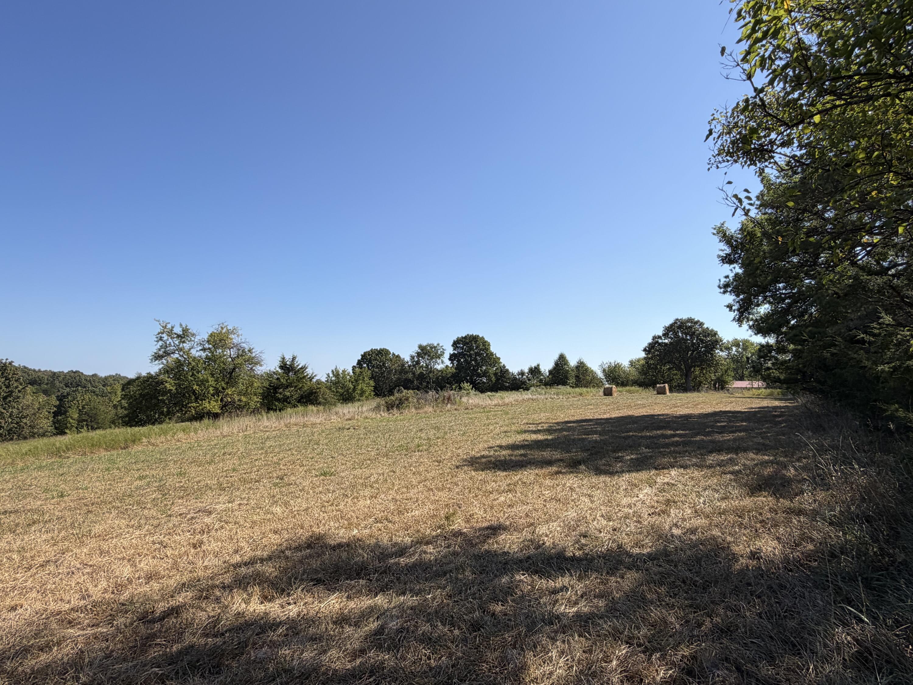 Photo 63 - Residential for sale – 290  Greentown Road  Buffalo, MO