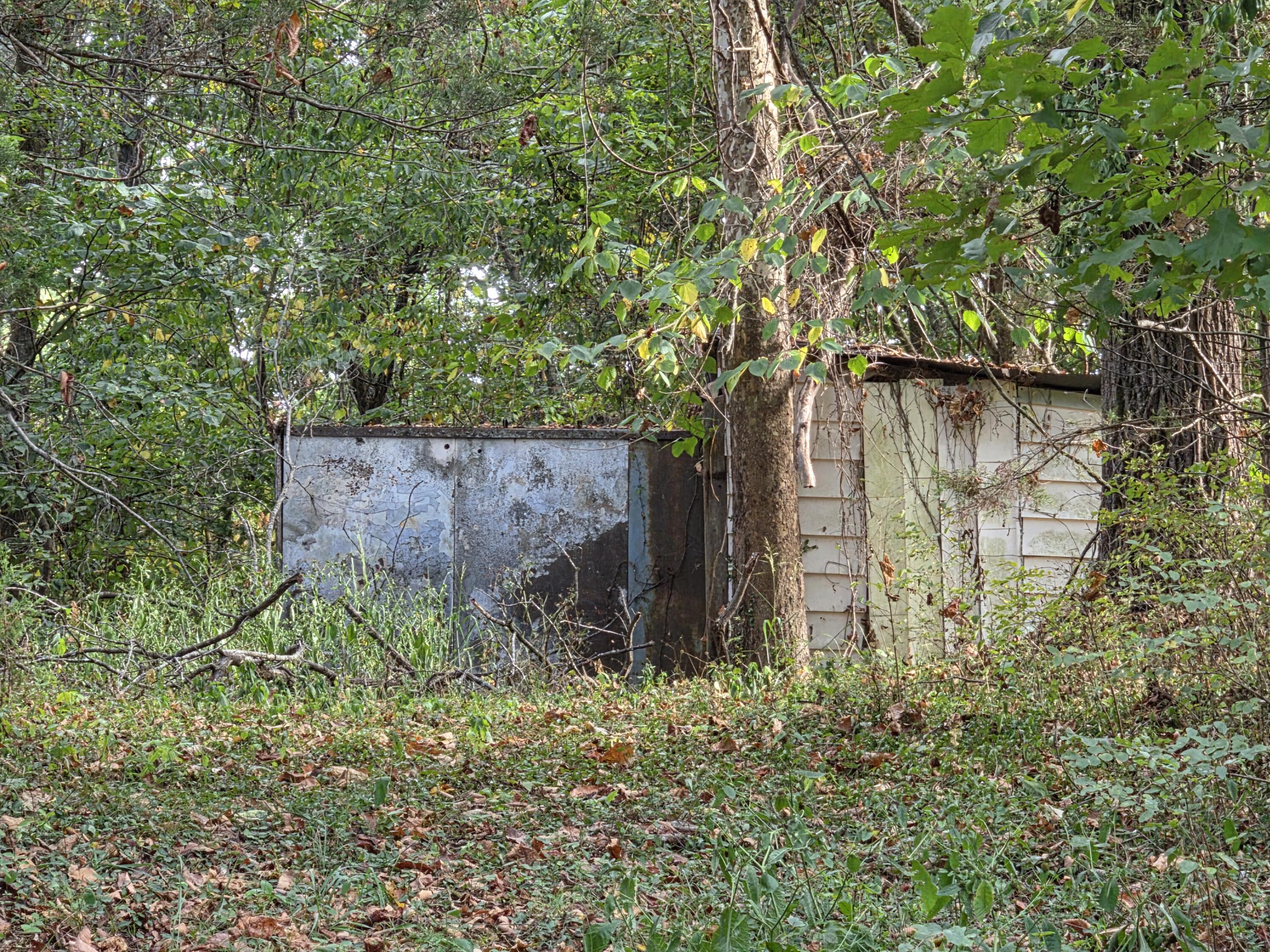 Photo 4 - Land for sale – 707  Washington Avenue  Crane, MO